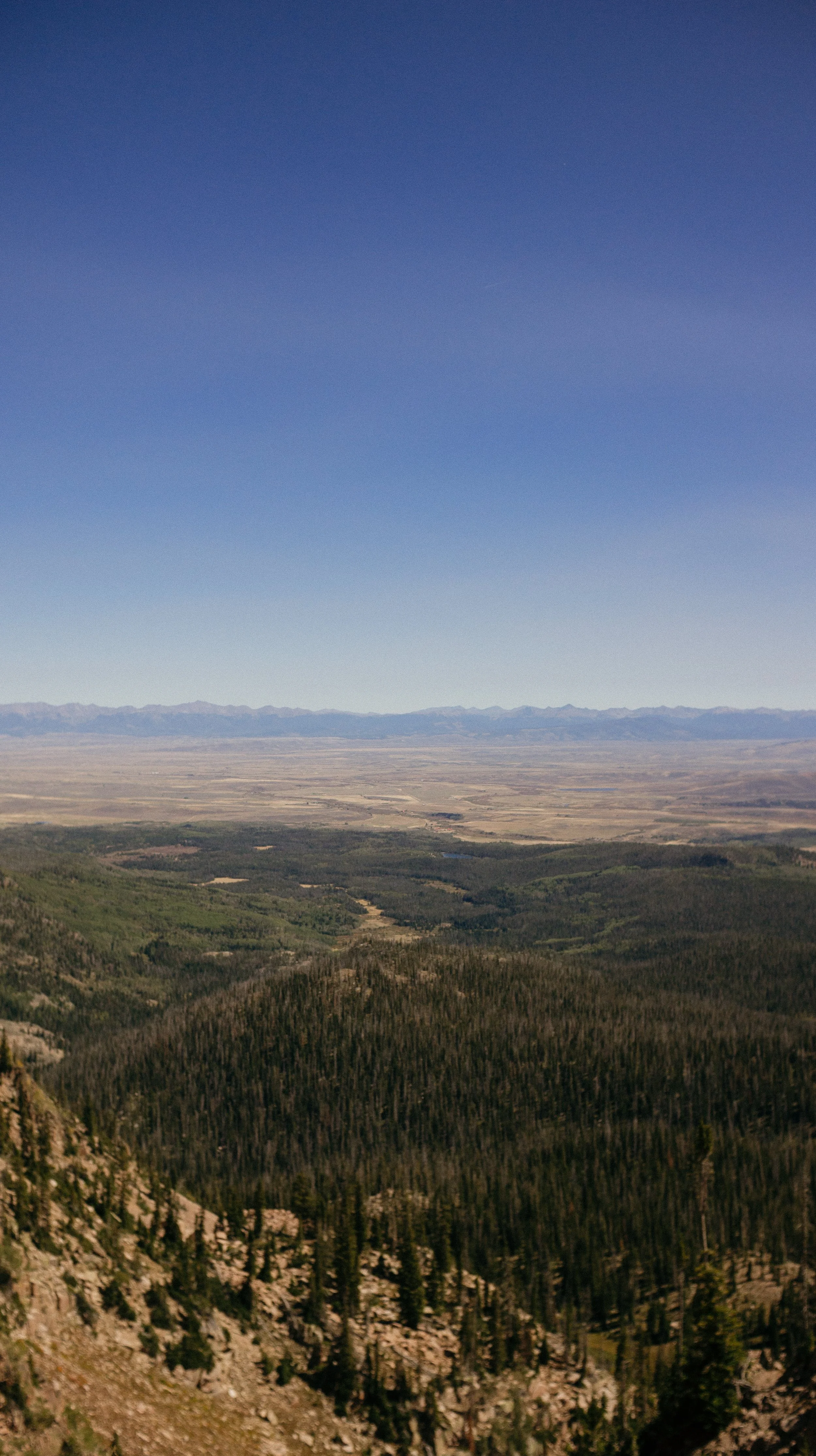 From the top
