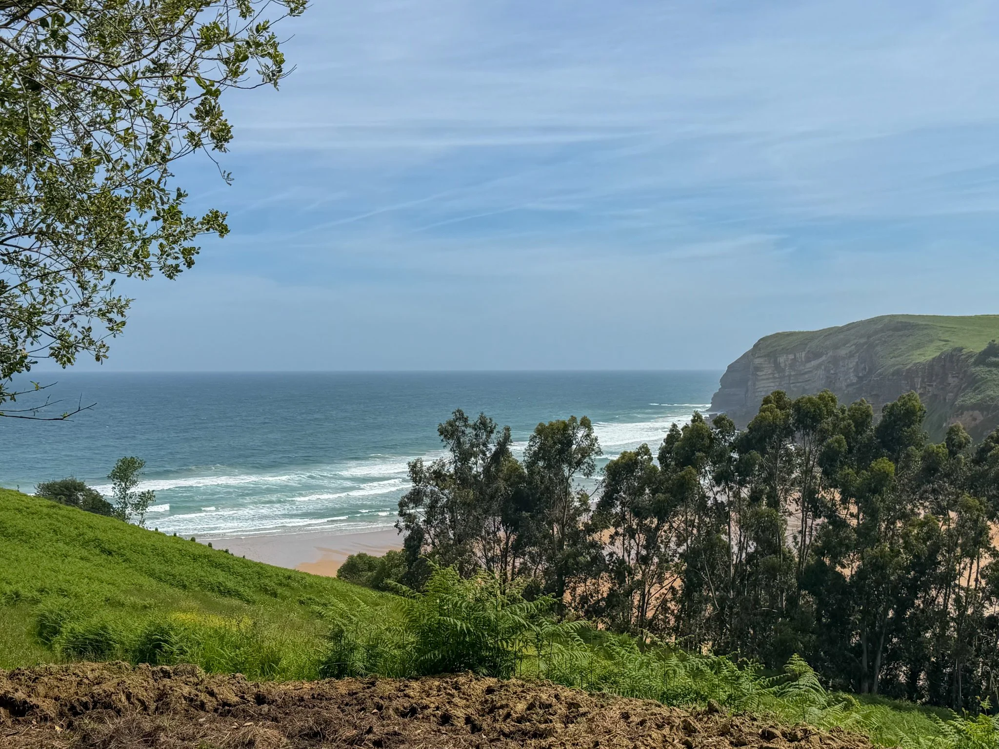 Coast treats