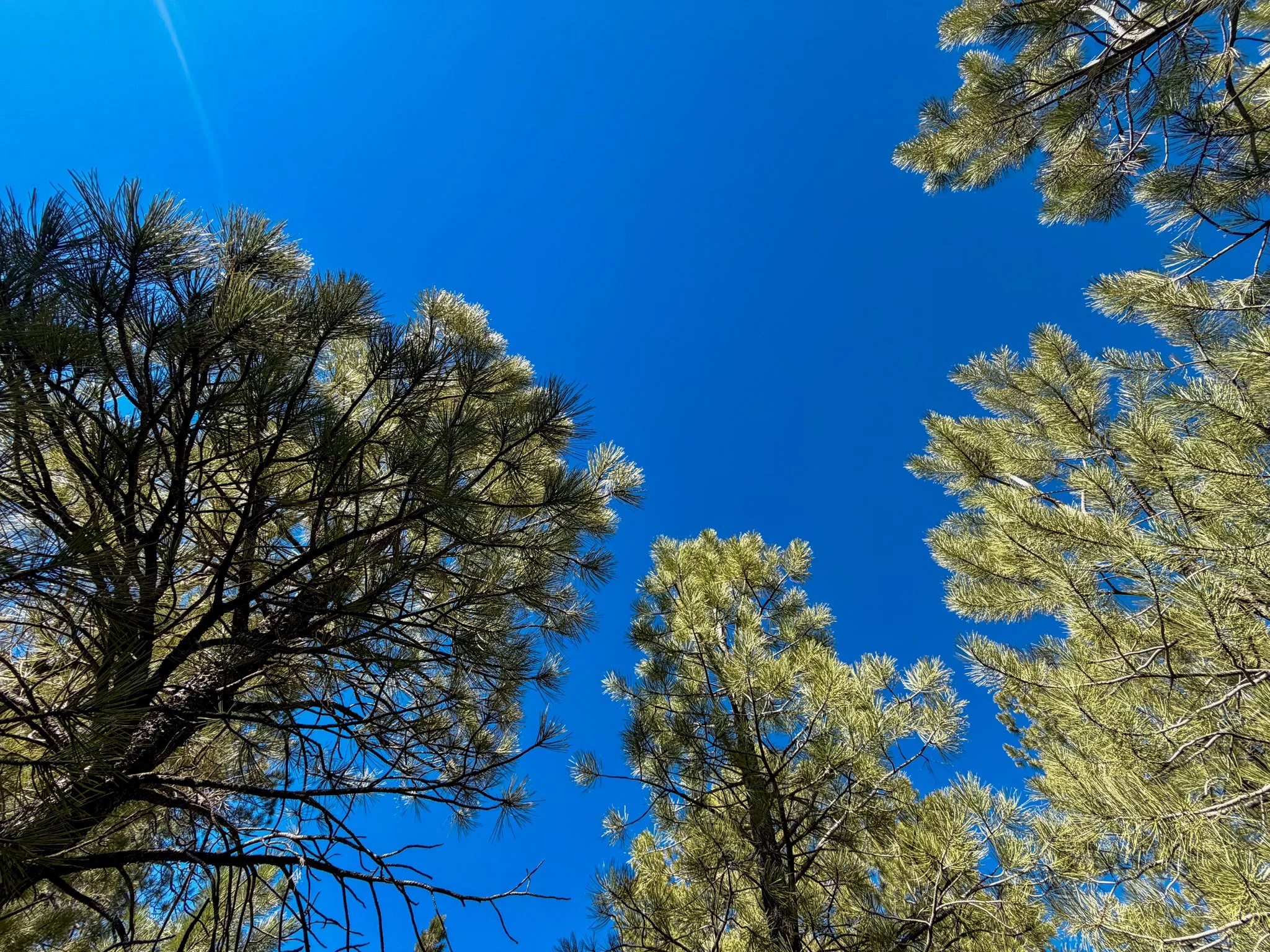  View from my lunchtime horizontal position 