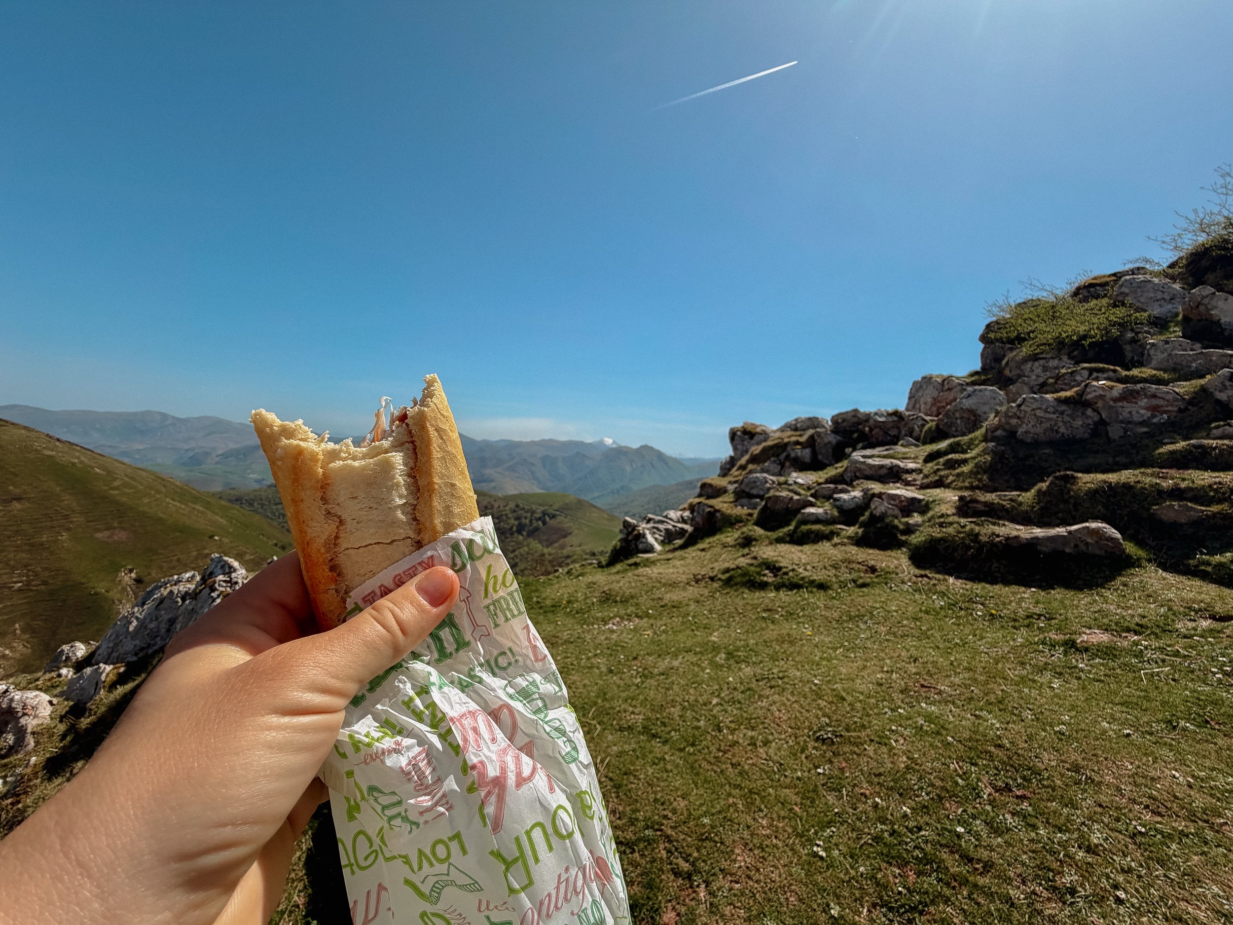Camino de Santiago Frances