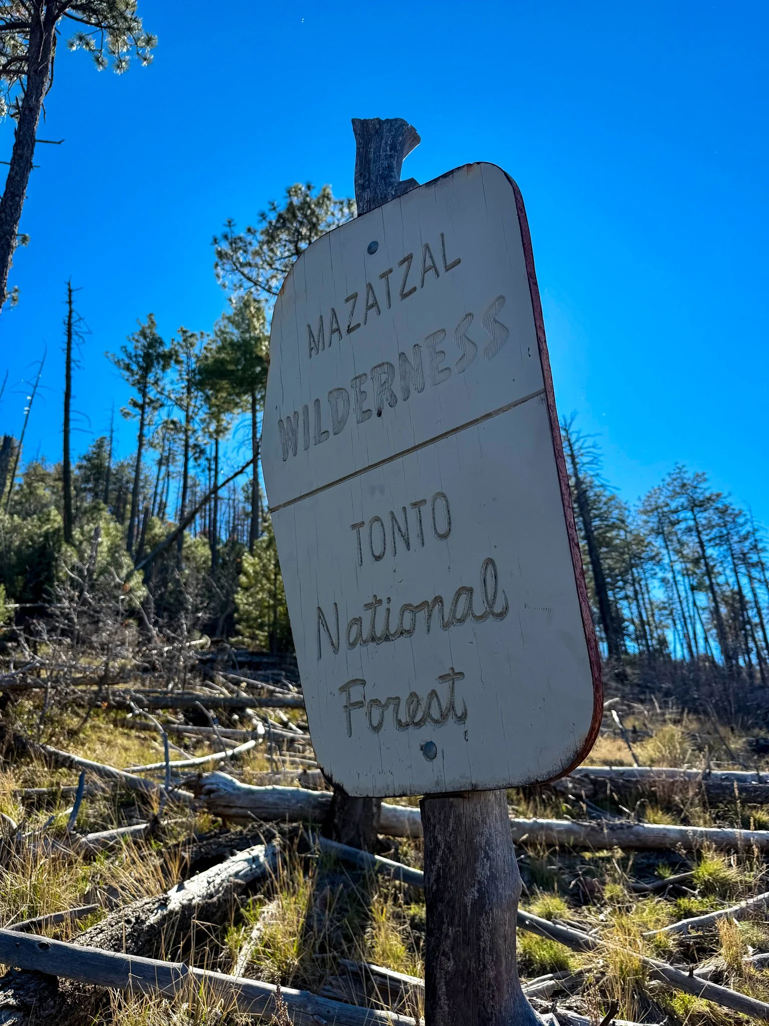  Entering the Matazal Wilderness 