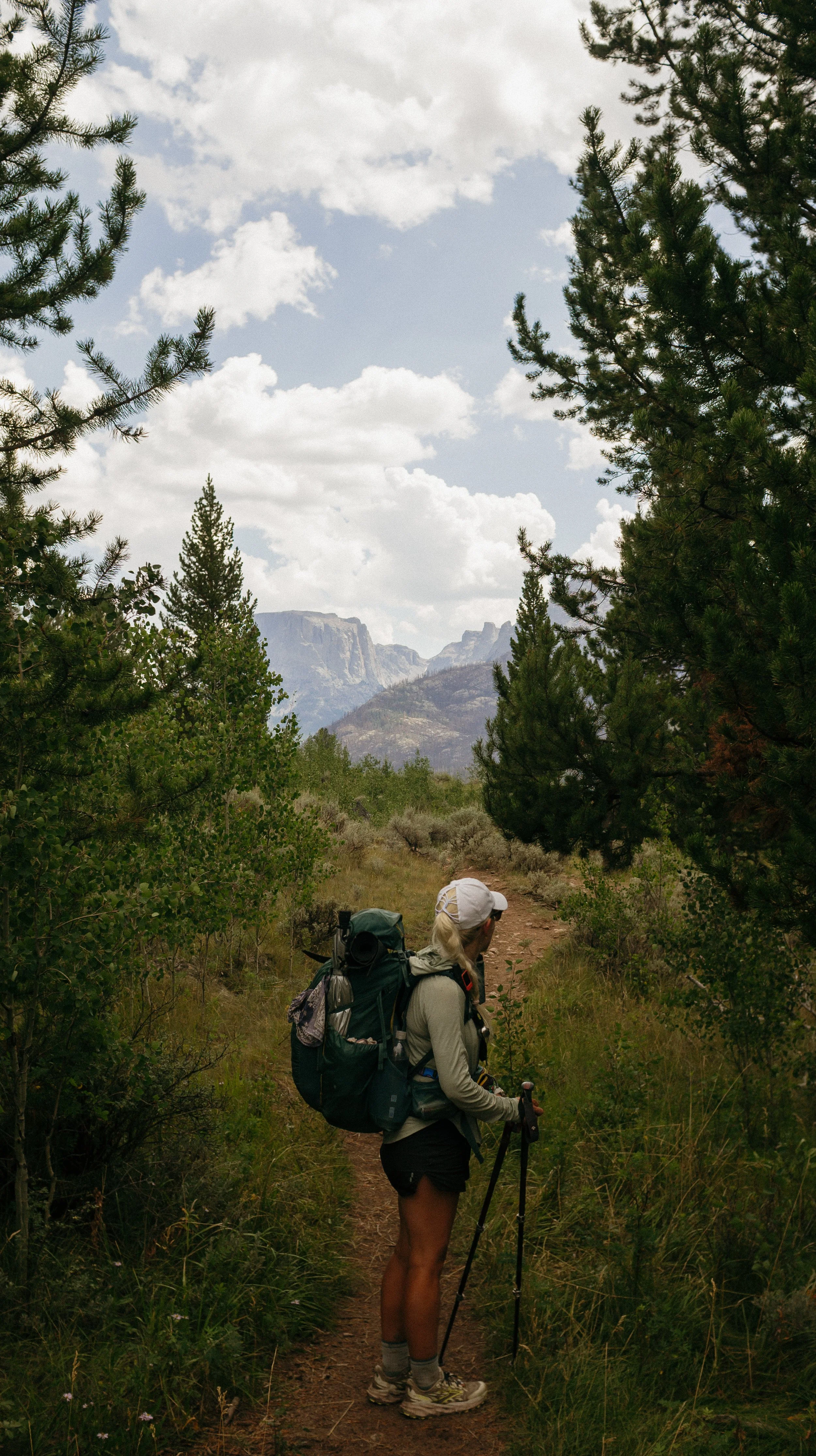 Through the trees