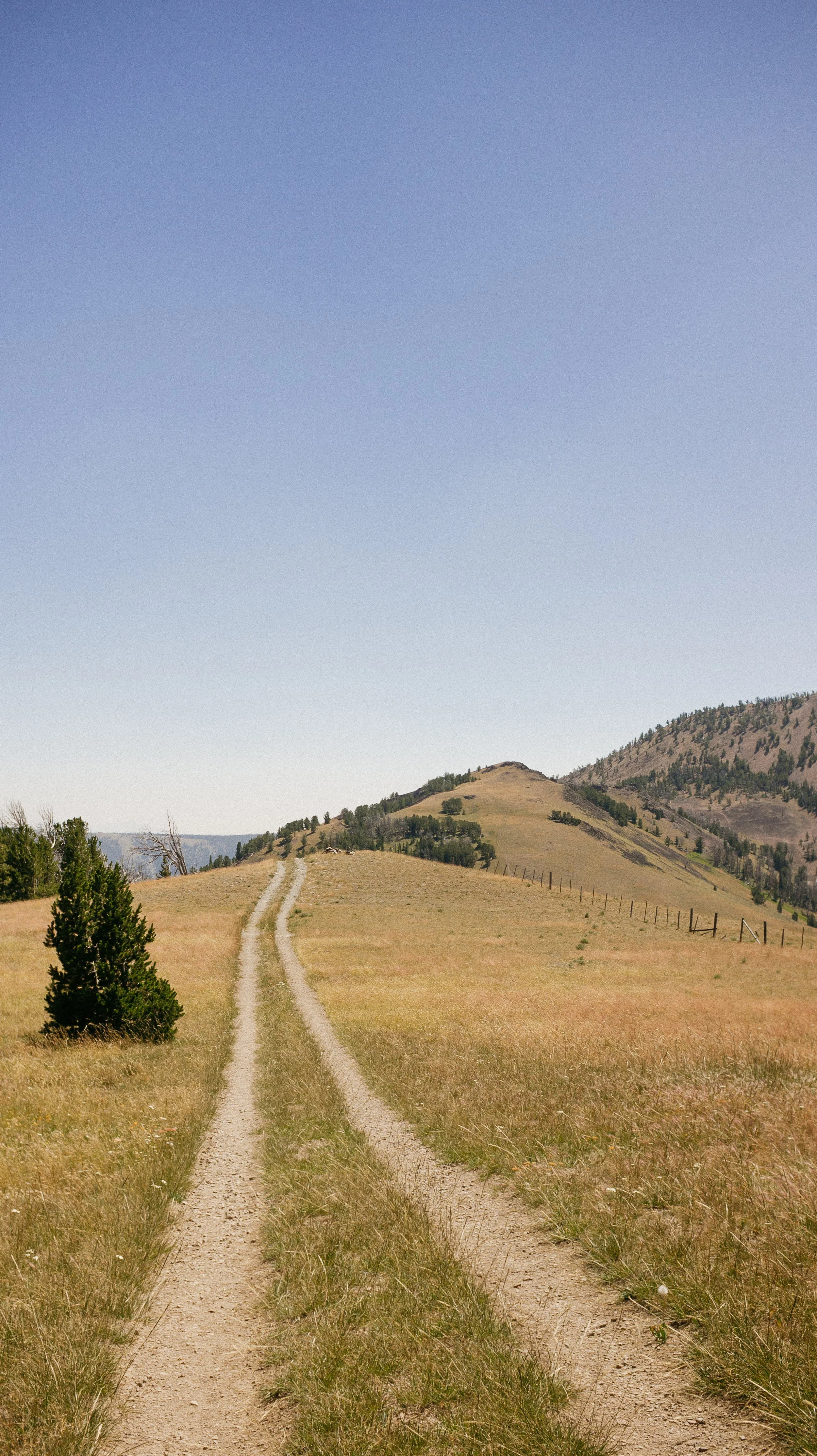 The trail is the track