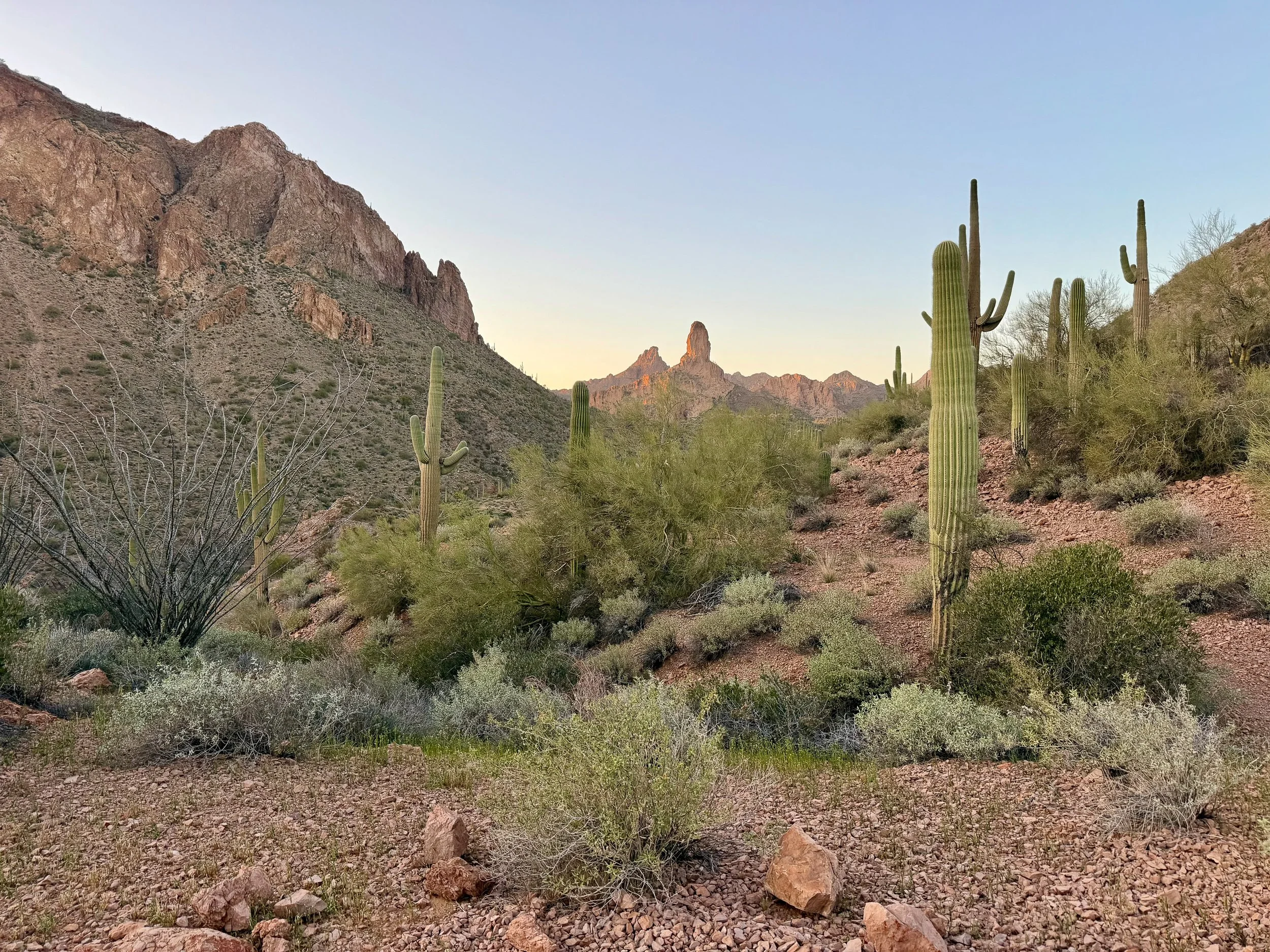  Red Mountain Canyon was so good 