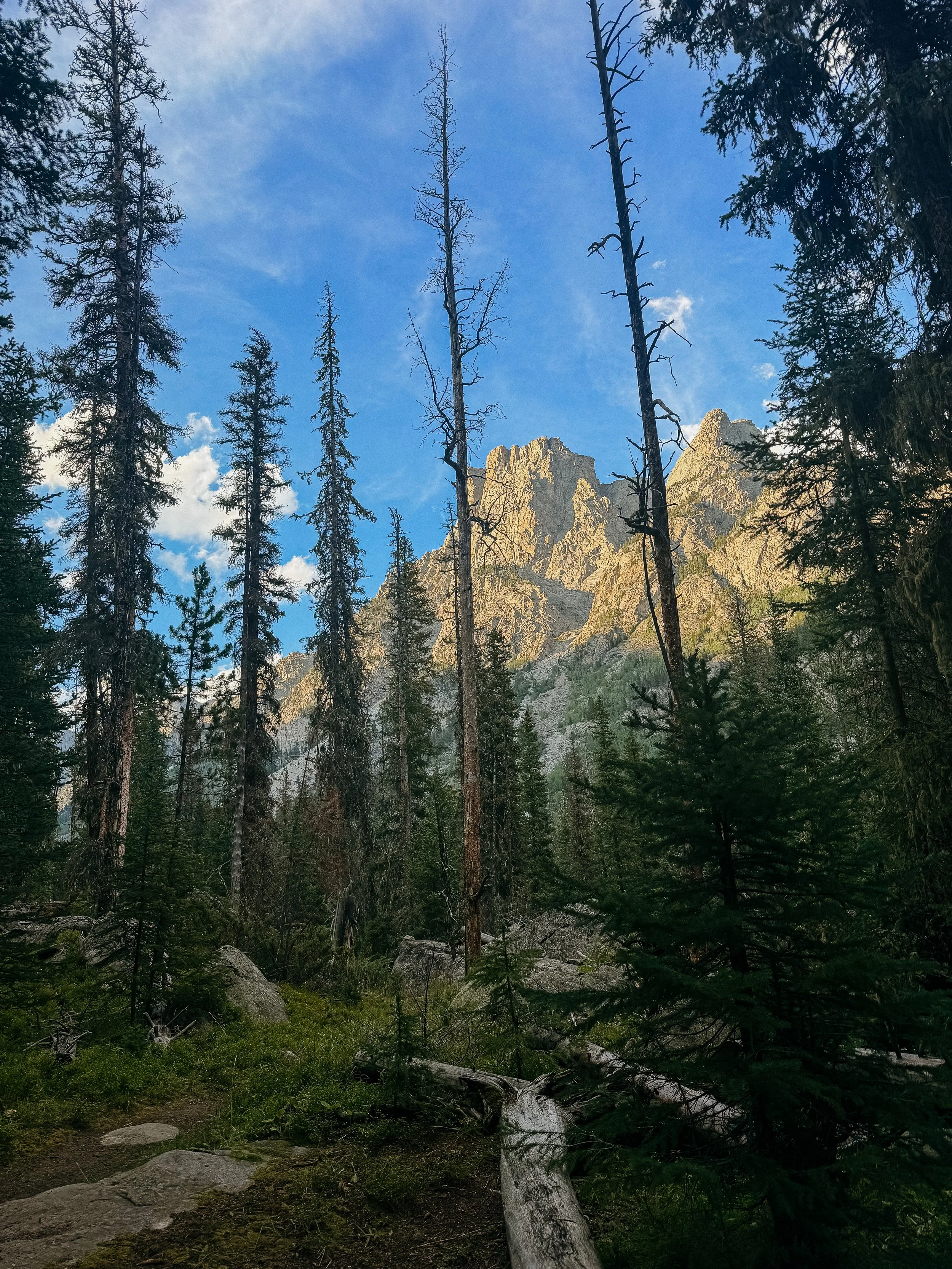 View from my tent