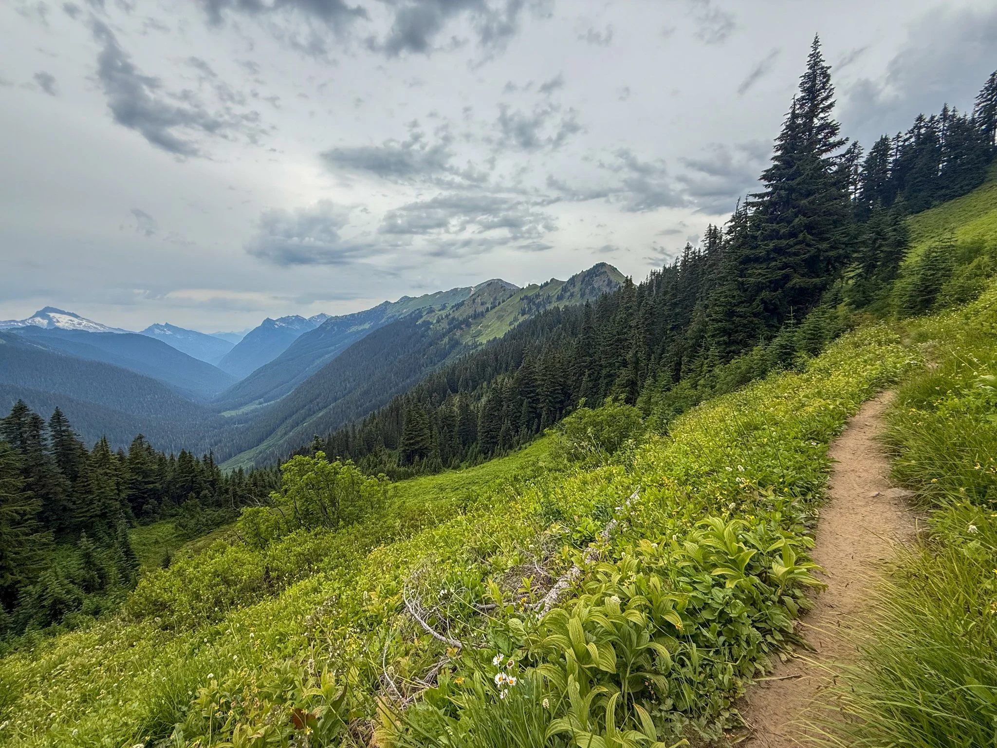  Section K had amazing views.  