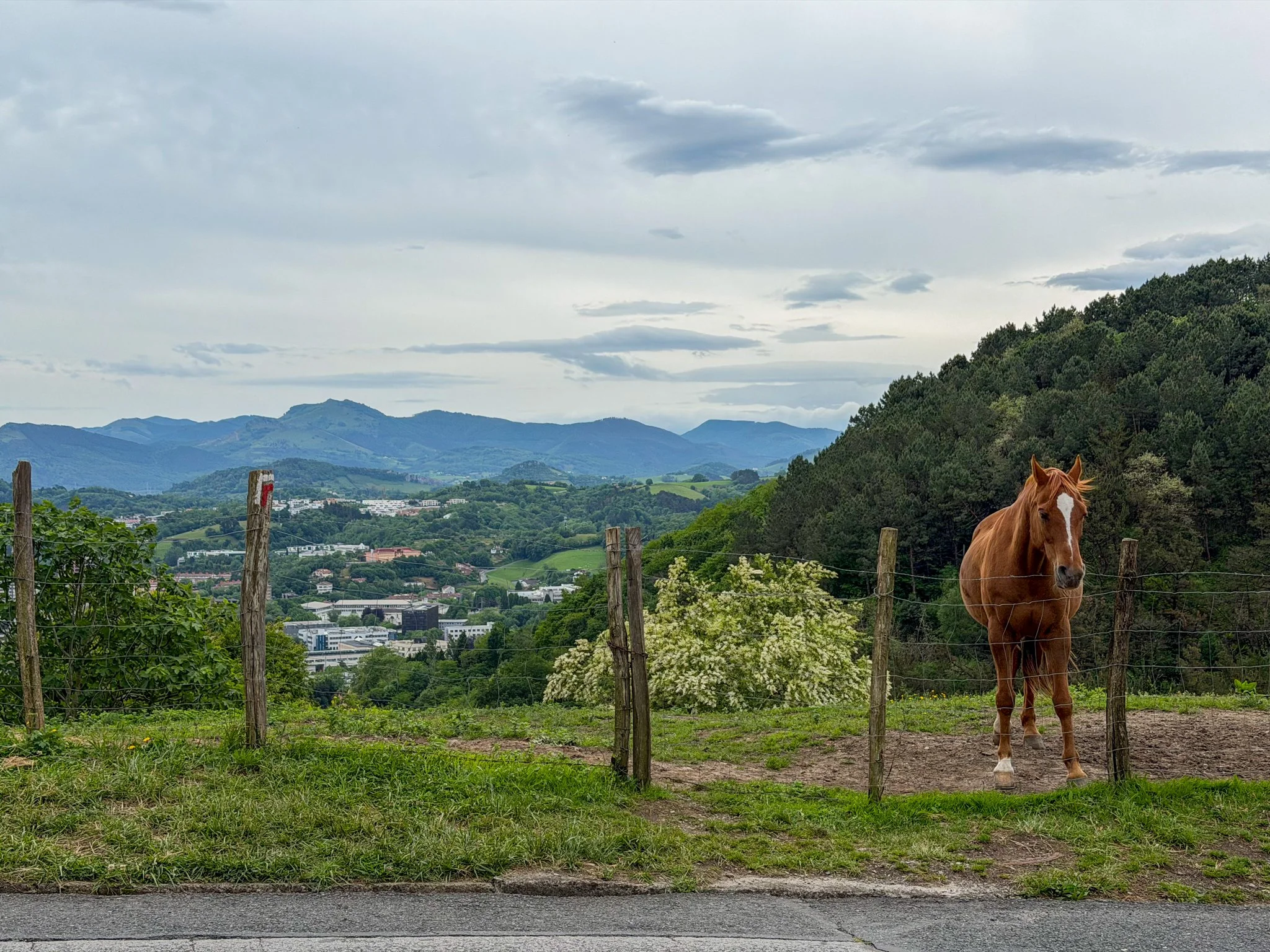 camino-norte-1-WitWiL-12.jpg