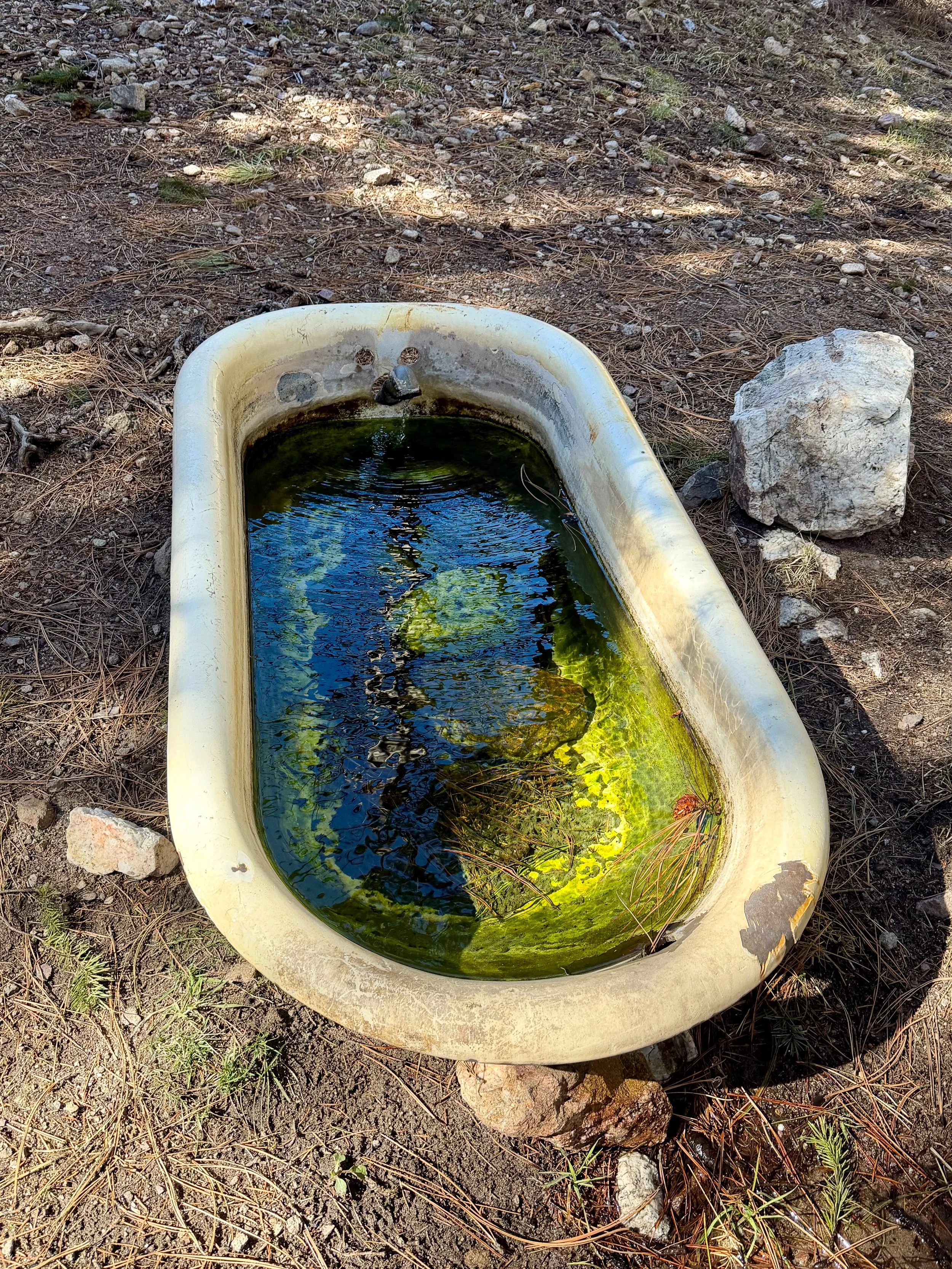  Bathtub Spring is a highlight of the first section. 