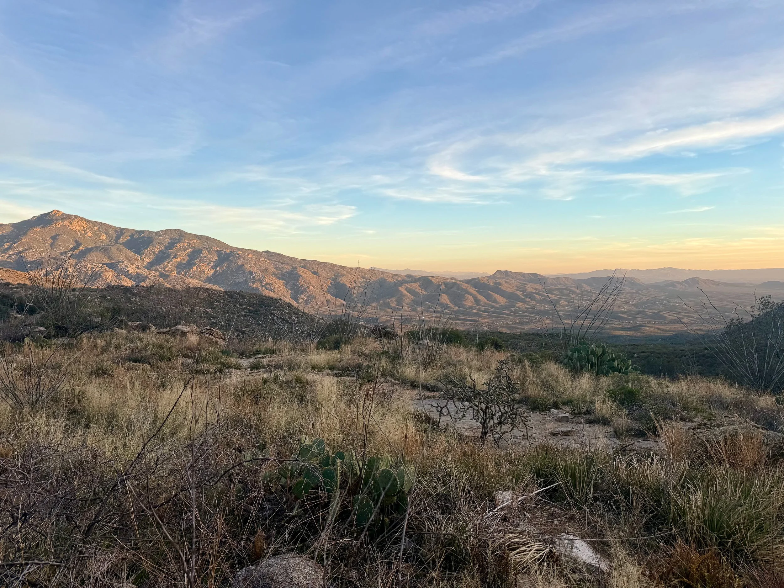  Sunset in Saguaro National Park 
