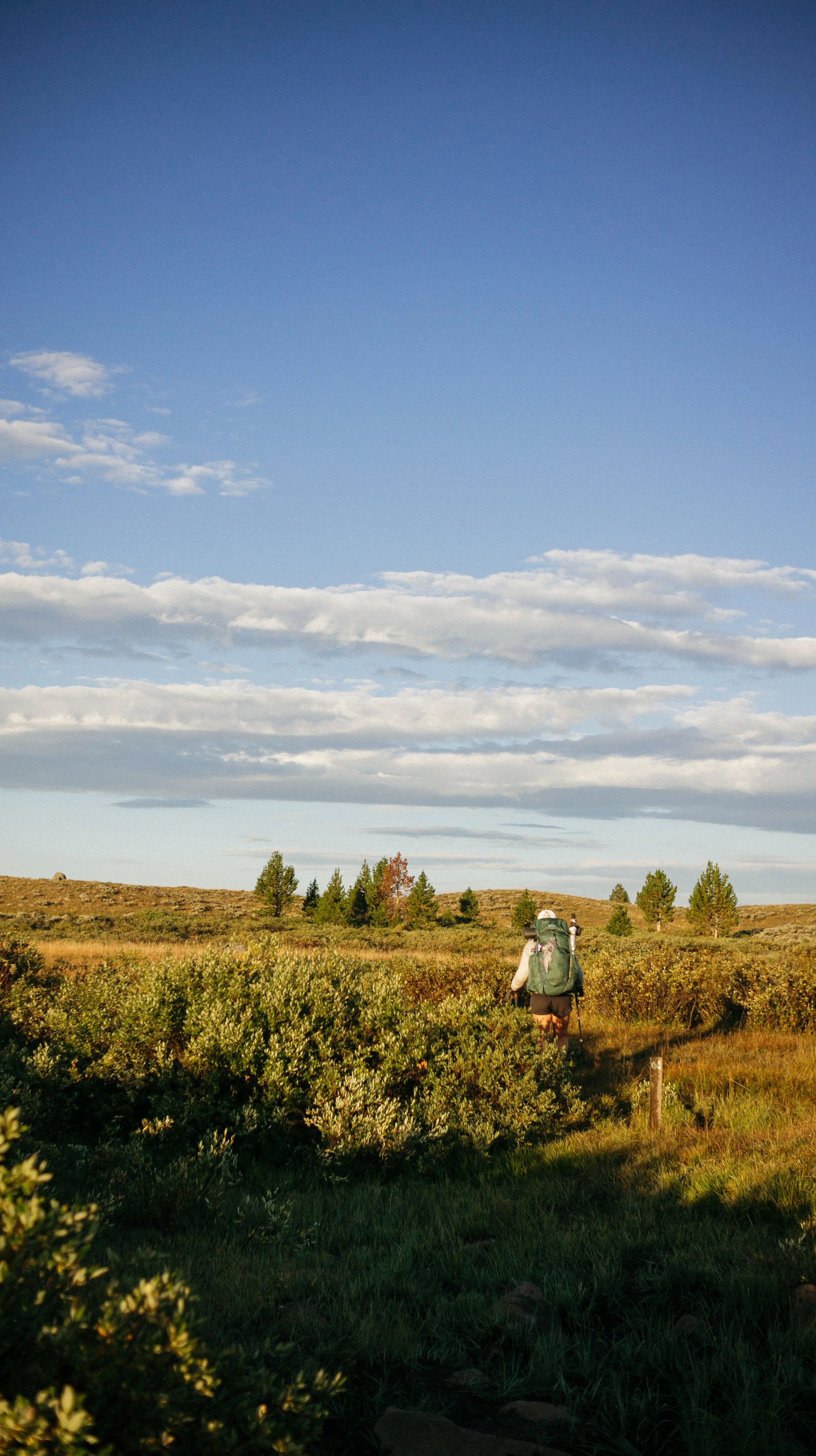 Open plains