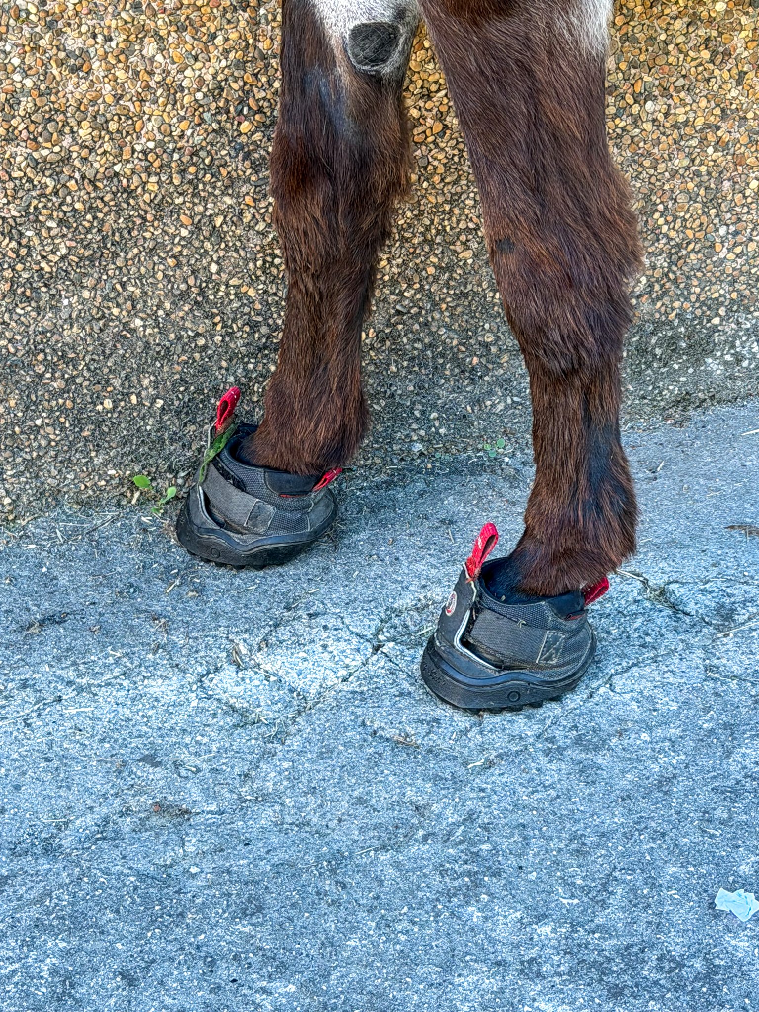 ... with shoes! 