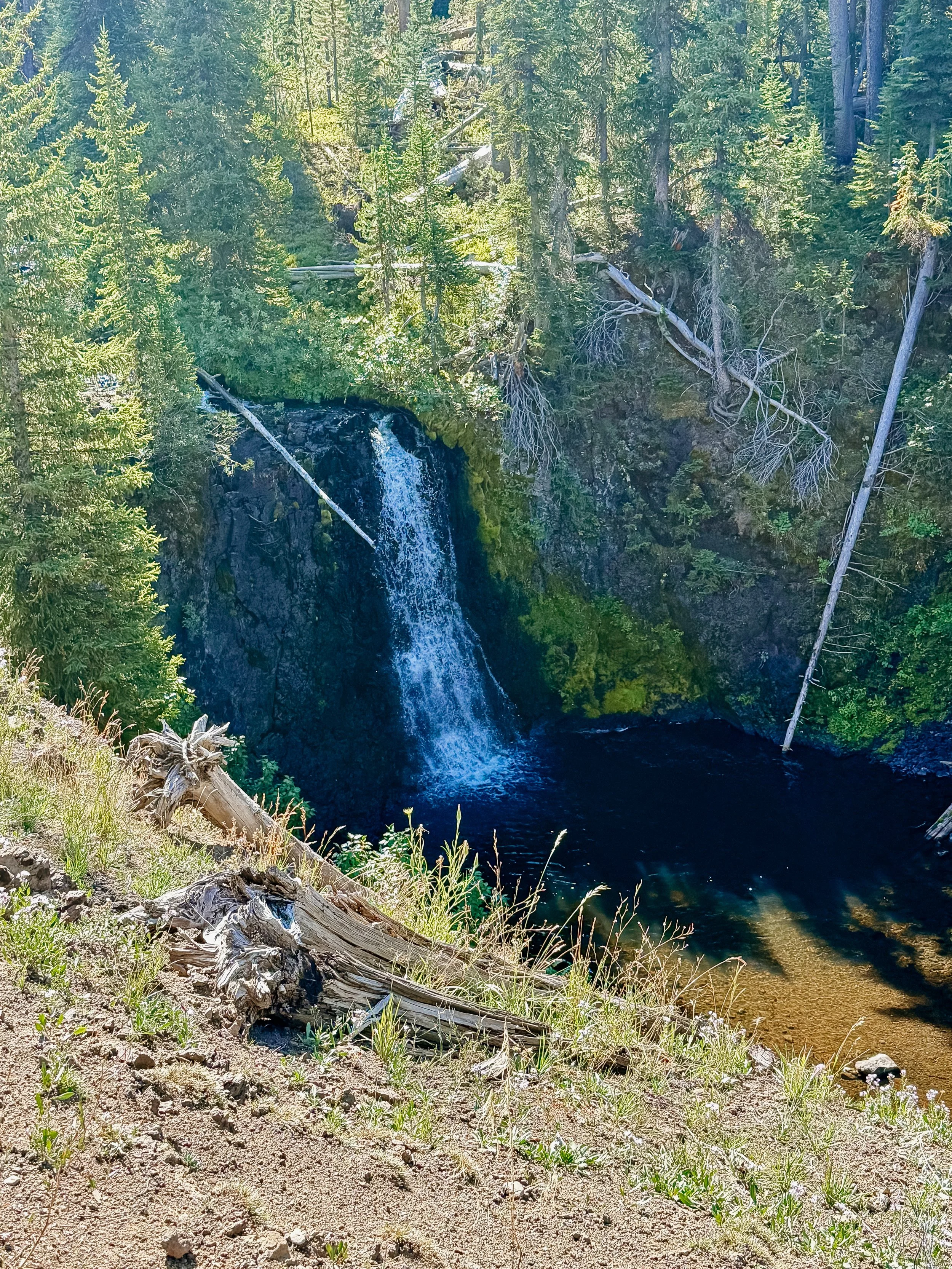 28-WITWIL-00018.jpg