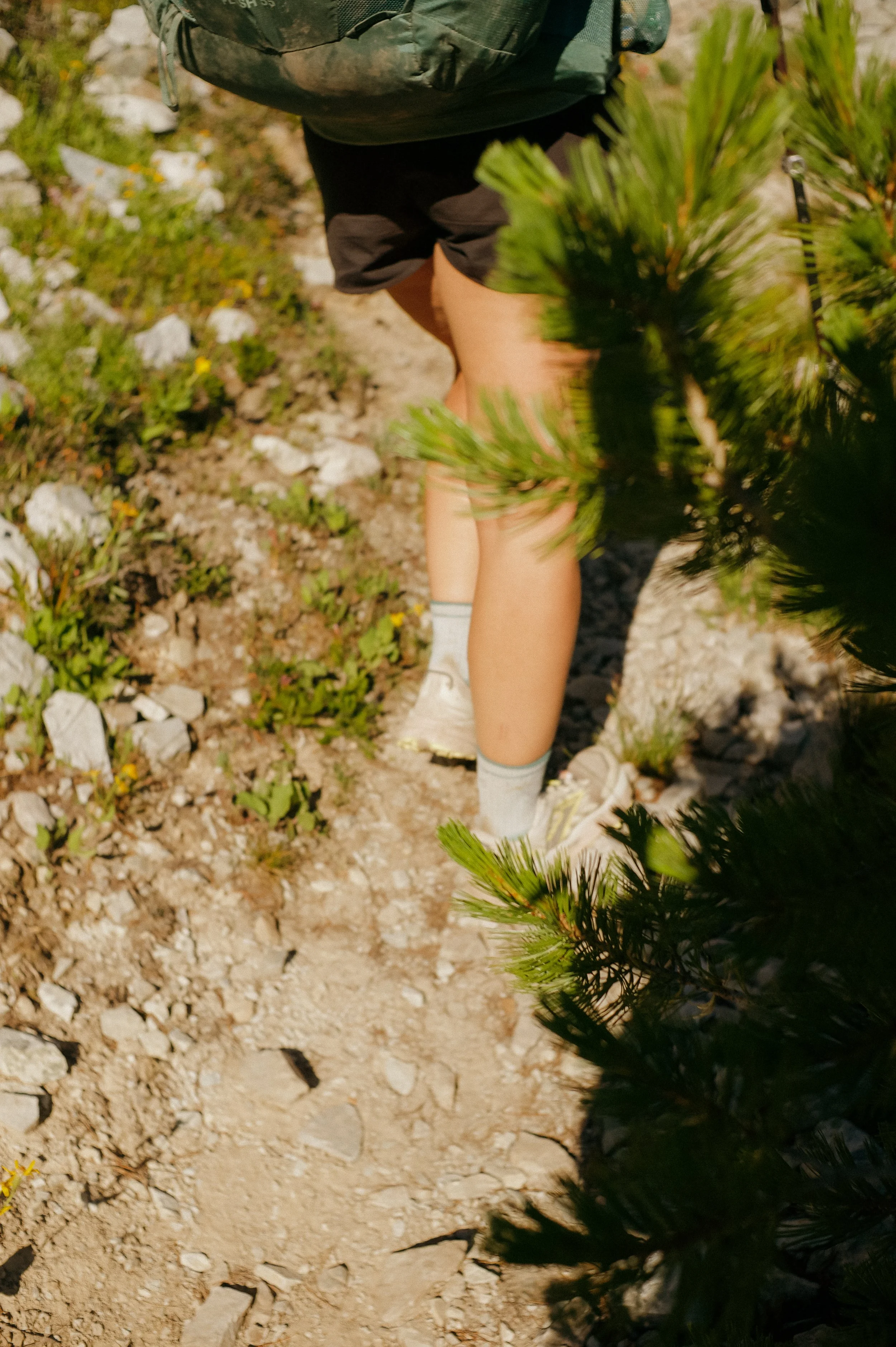 Climbing