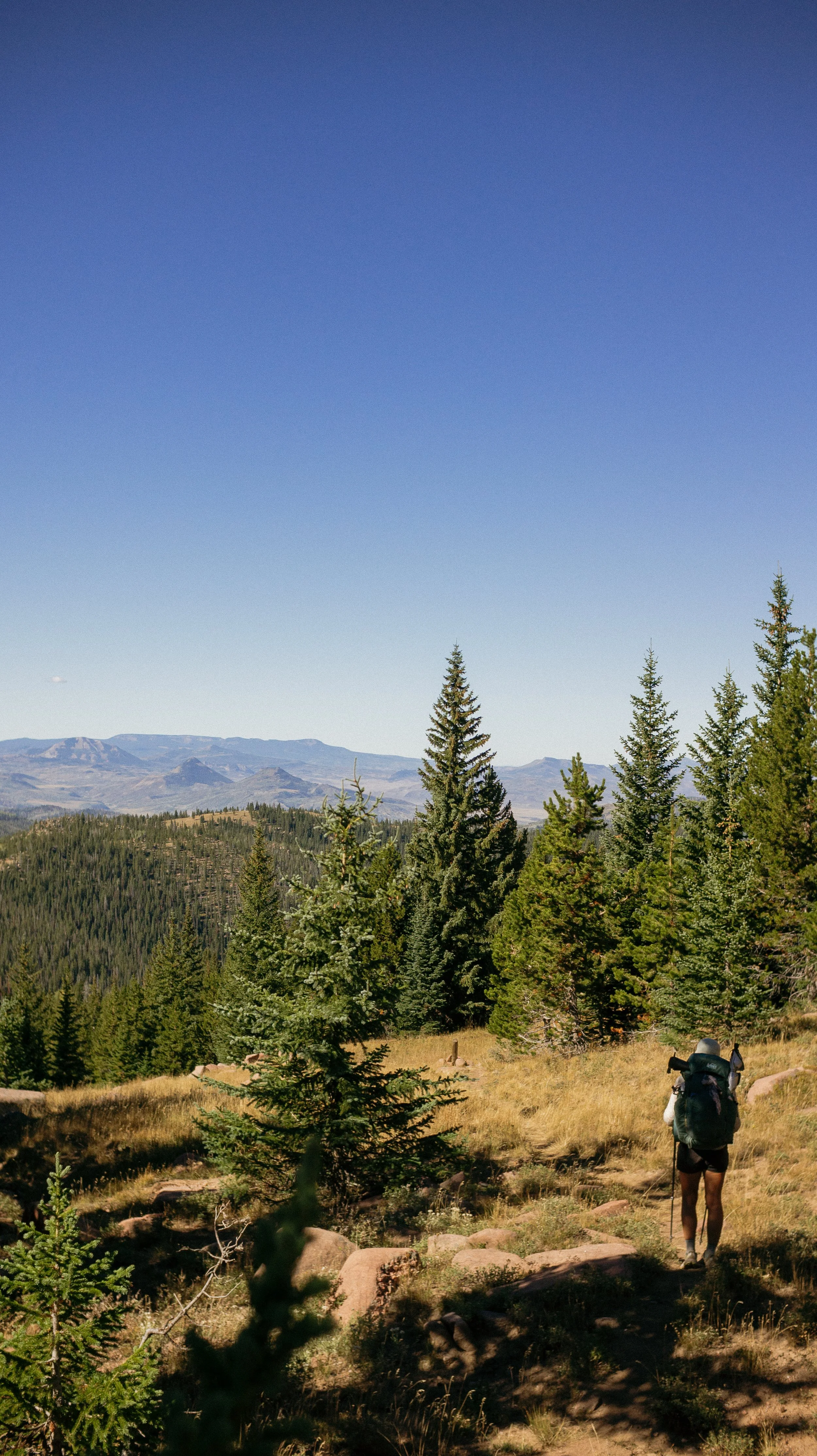 18-WITWIL-02281.jpg