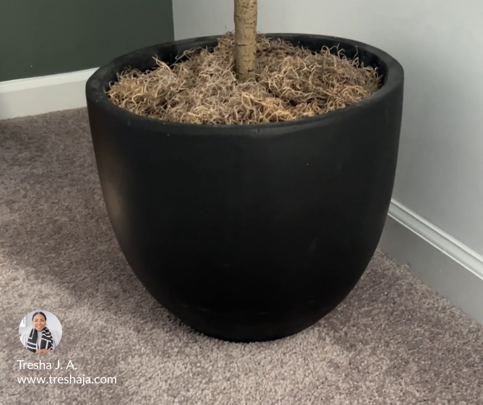 Tresha J. A. 124.PNG