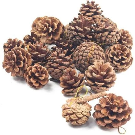 18PCS Hanging Natural Pine Cones: Click To Shop - 