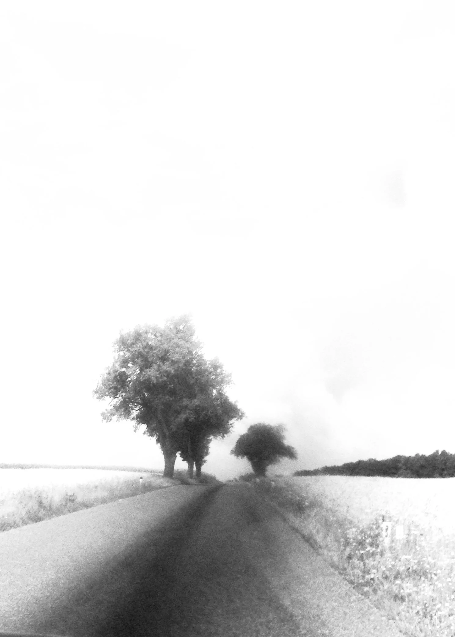 20160727_092242980_iOS.jpg