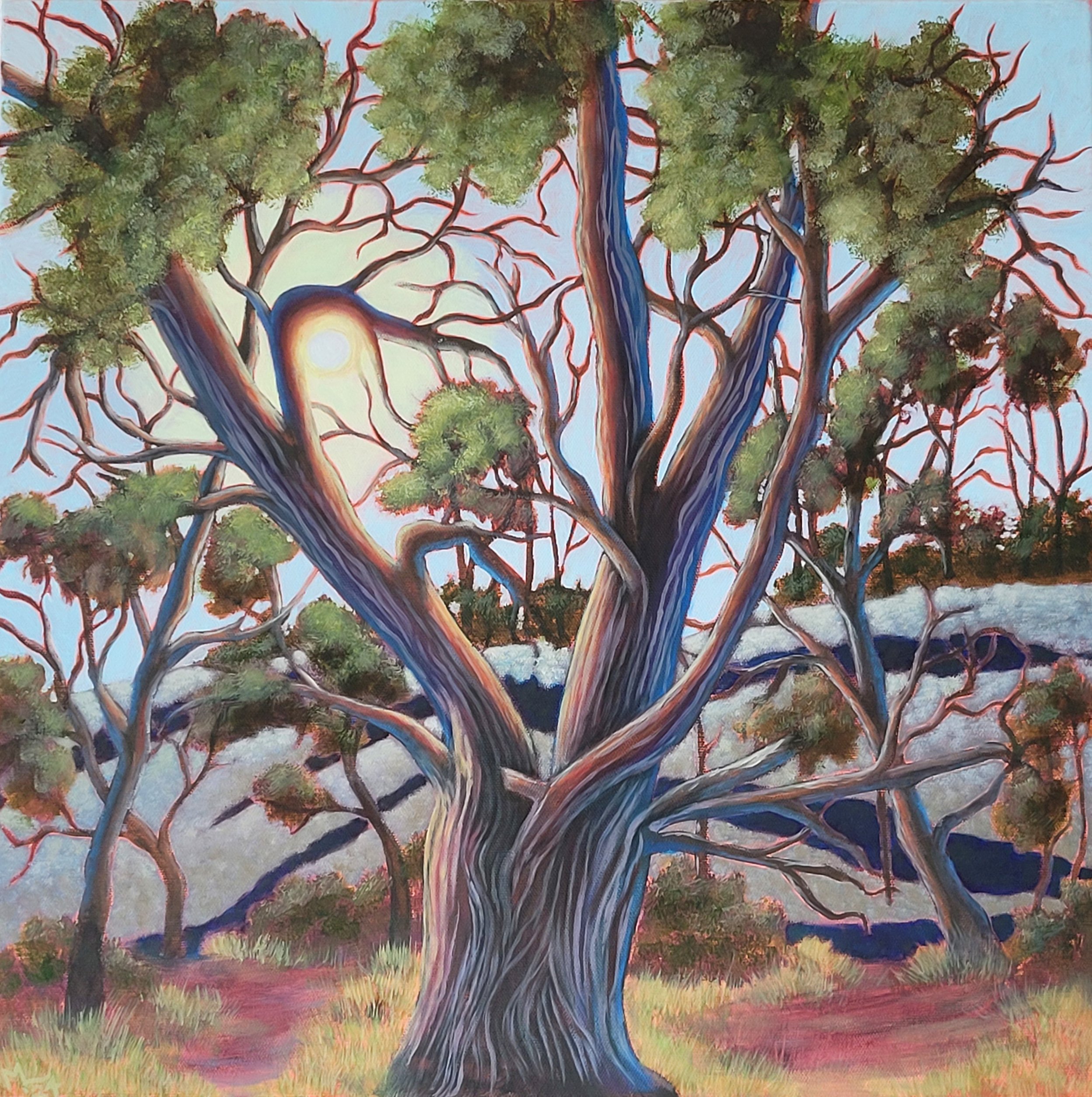 Mystic (SOLD)