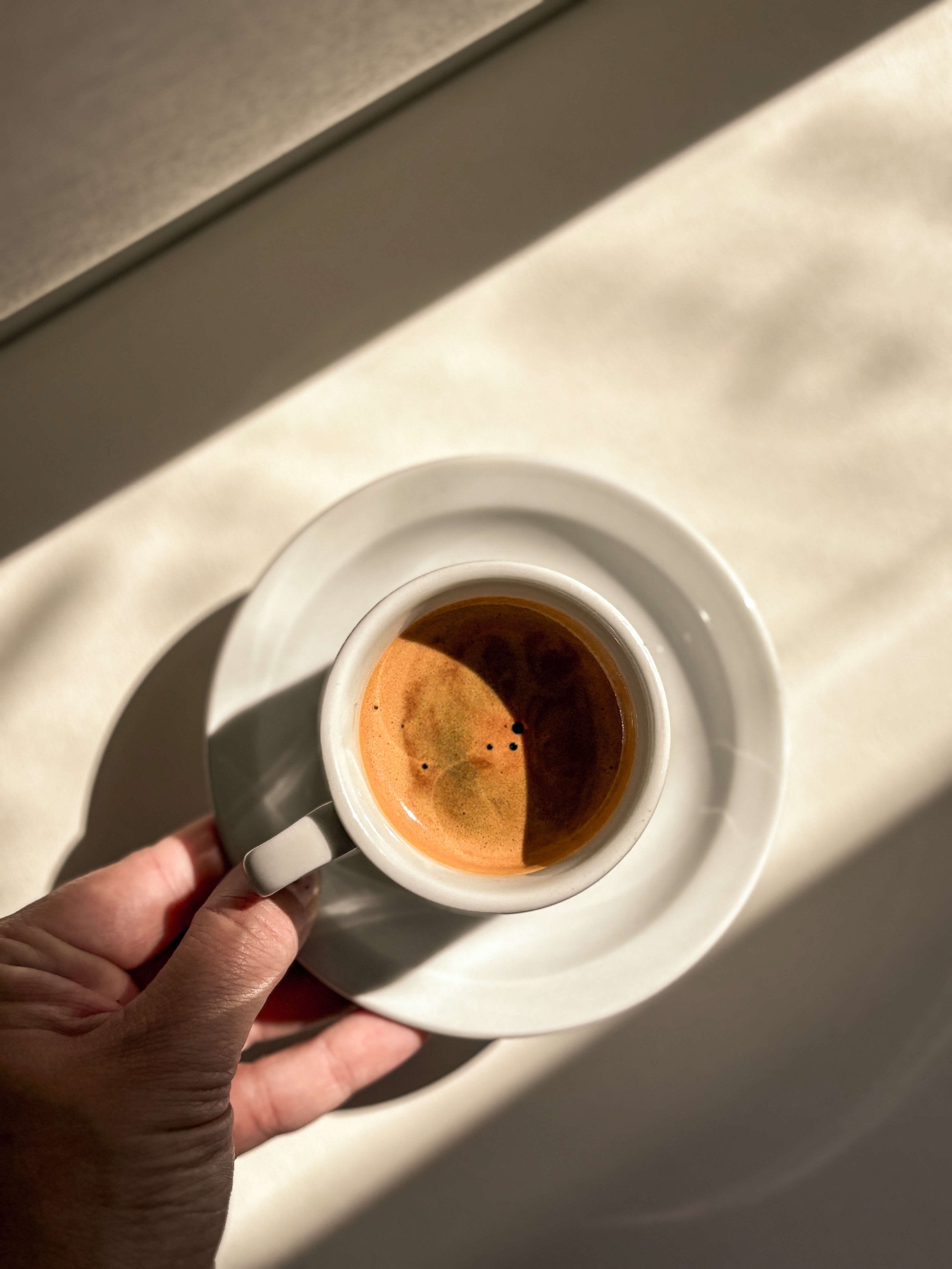 laurel-segrist-dupe.jpg