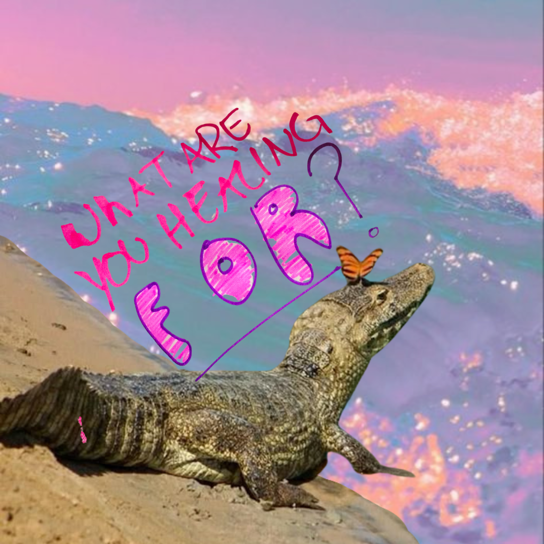 NEST-11.png