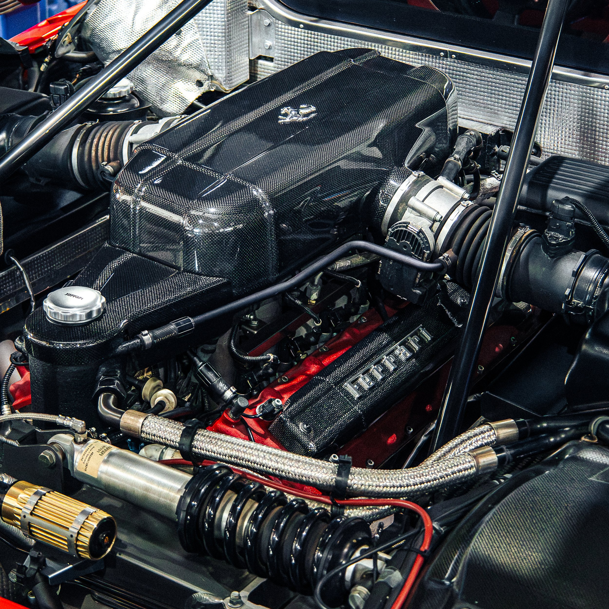 J58A8017.jpg