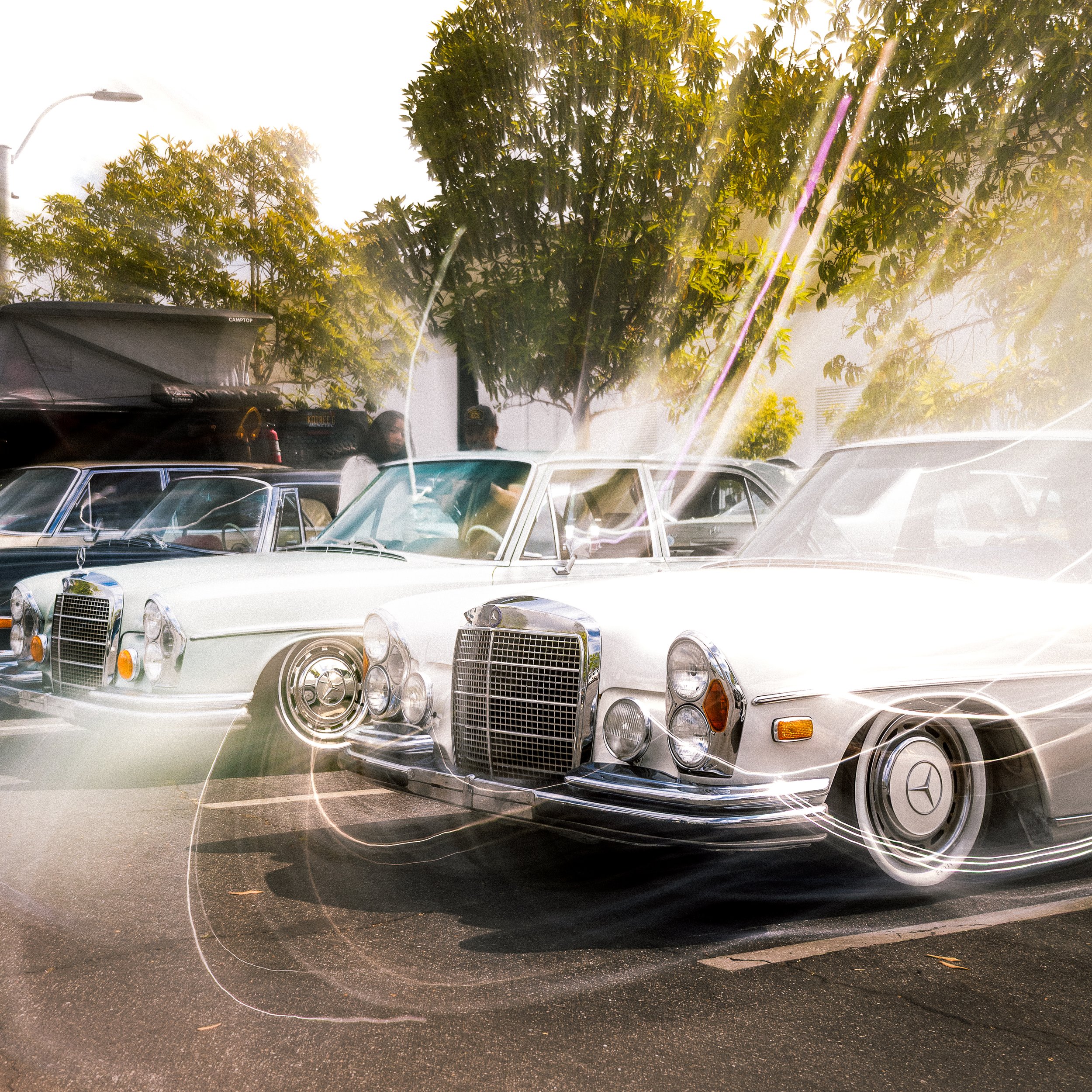 J58A3009-Edit.jpg