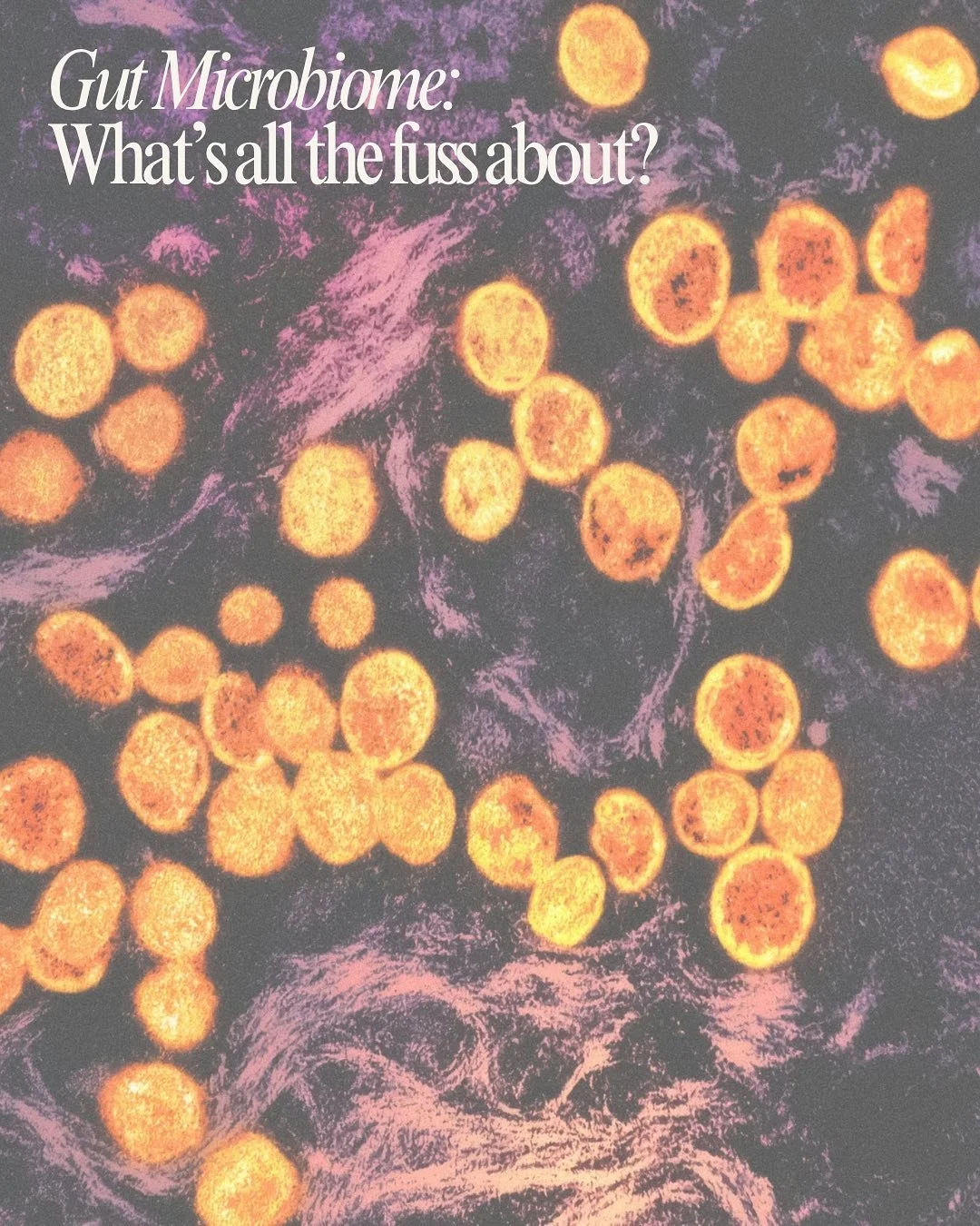 For those of you who know me well, you know I bang on about the microbiome all day every day! &ldquo;All disease begins in the gut&rdquo; - love your microbiome today and you may thank yourself later 🦠