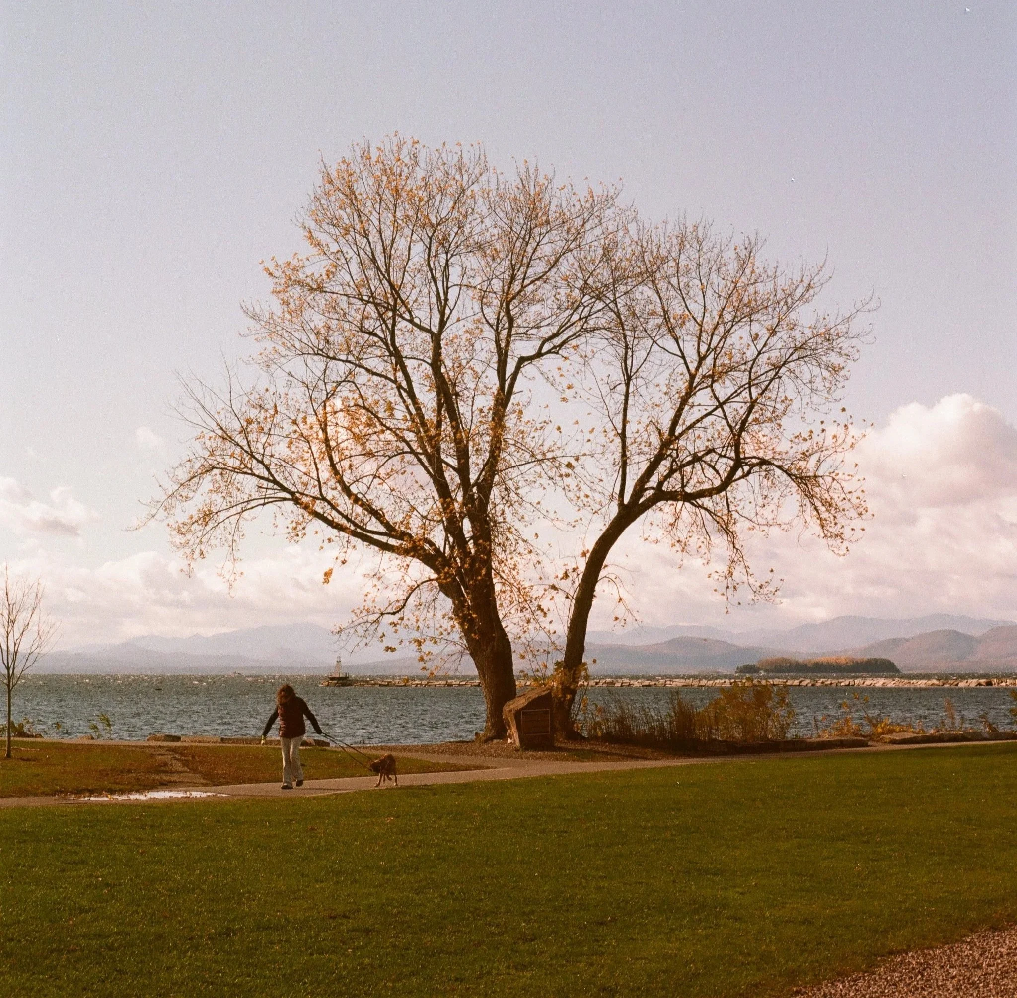 Worming Thru the Northeast