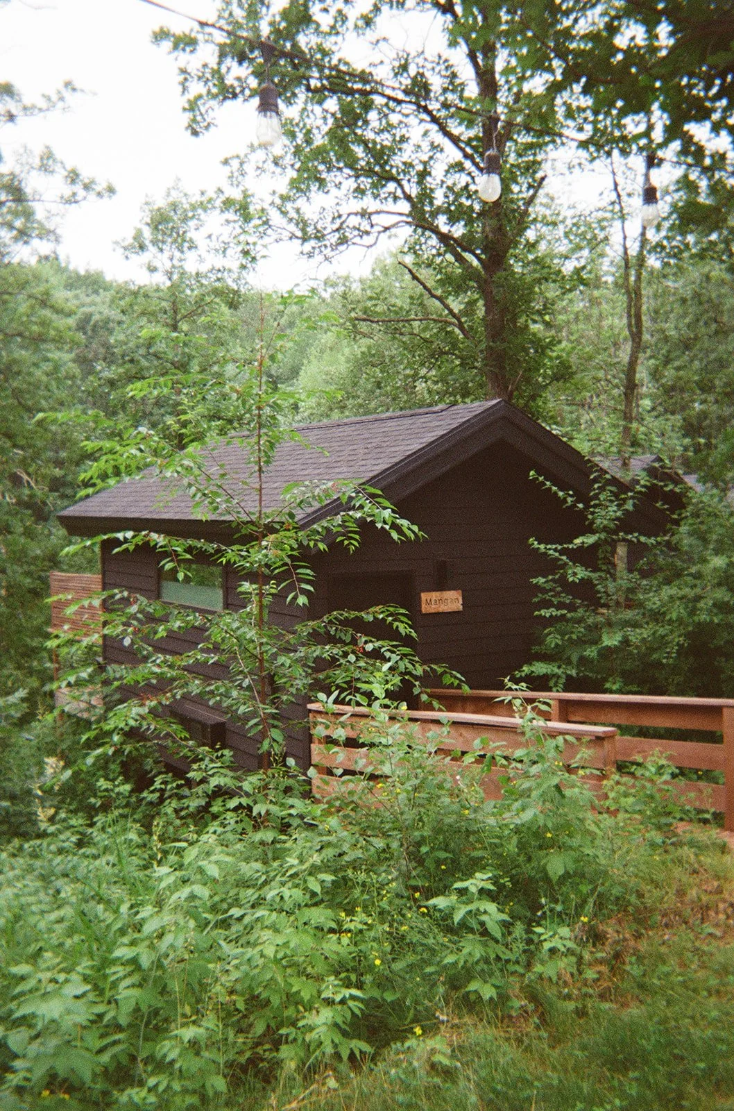 Film-6.jpg