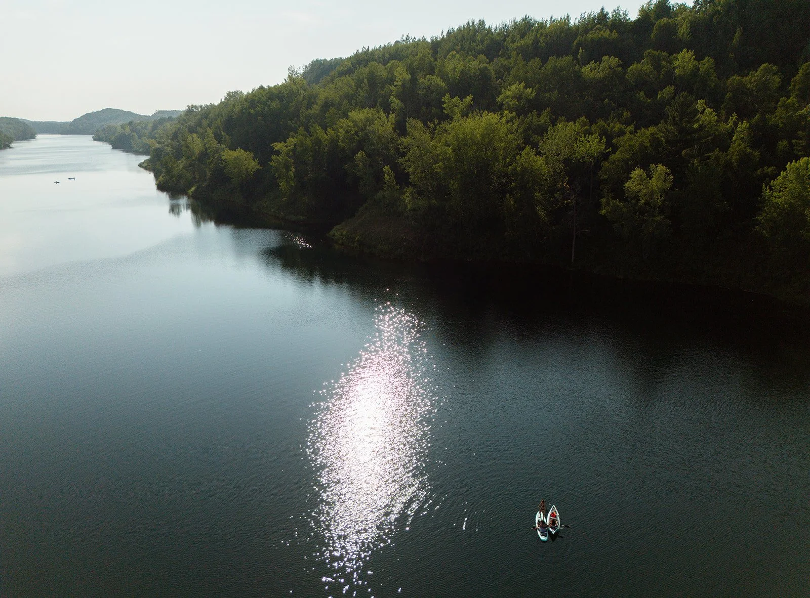 Aerial view of a lush green forest with a lake in the background, sunlight streaming through the trees.