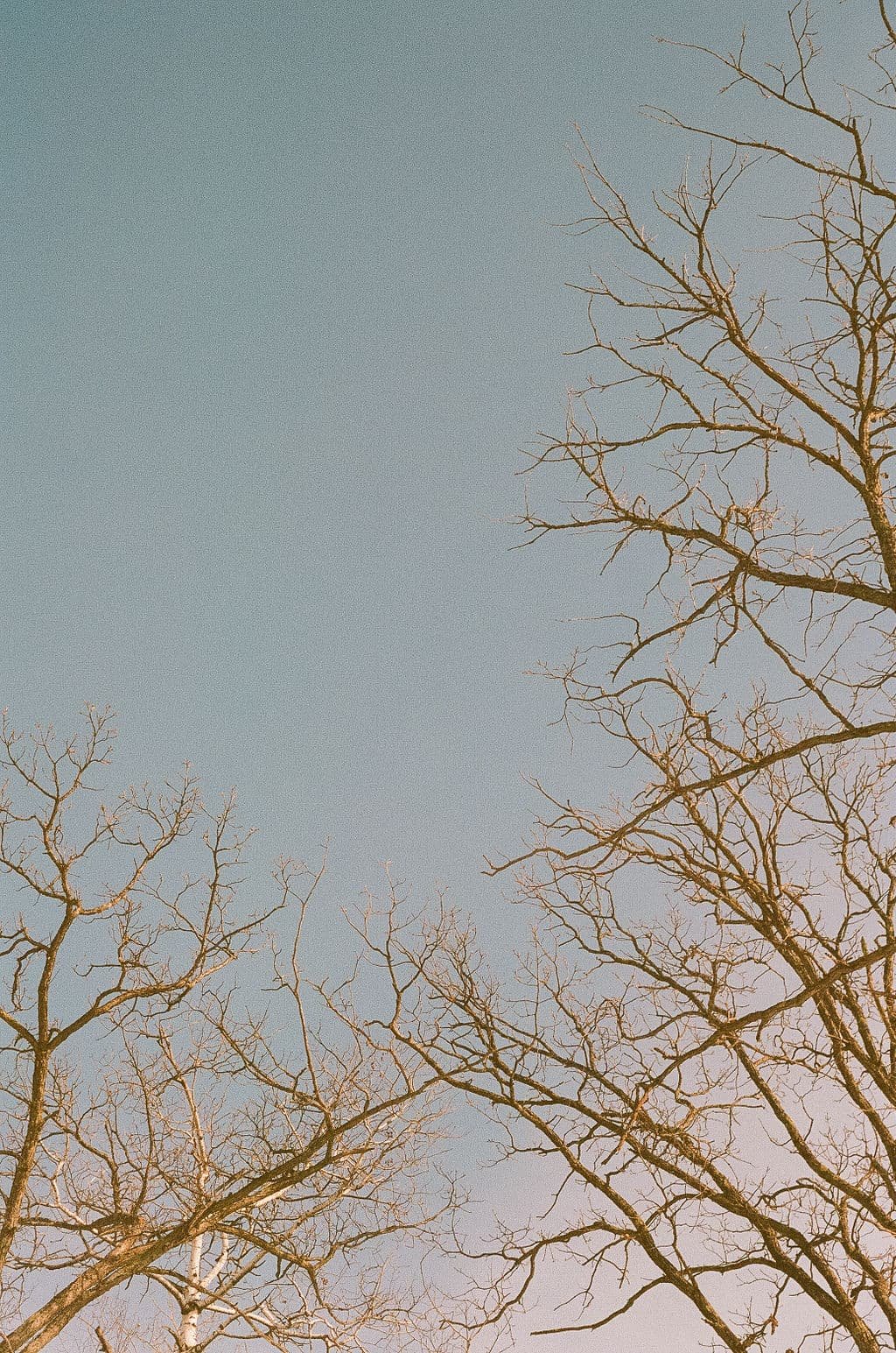 Portra4002-26.jpg
