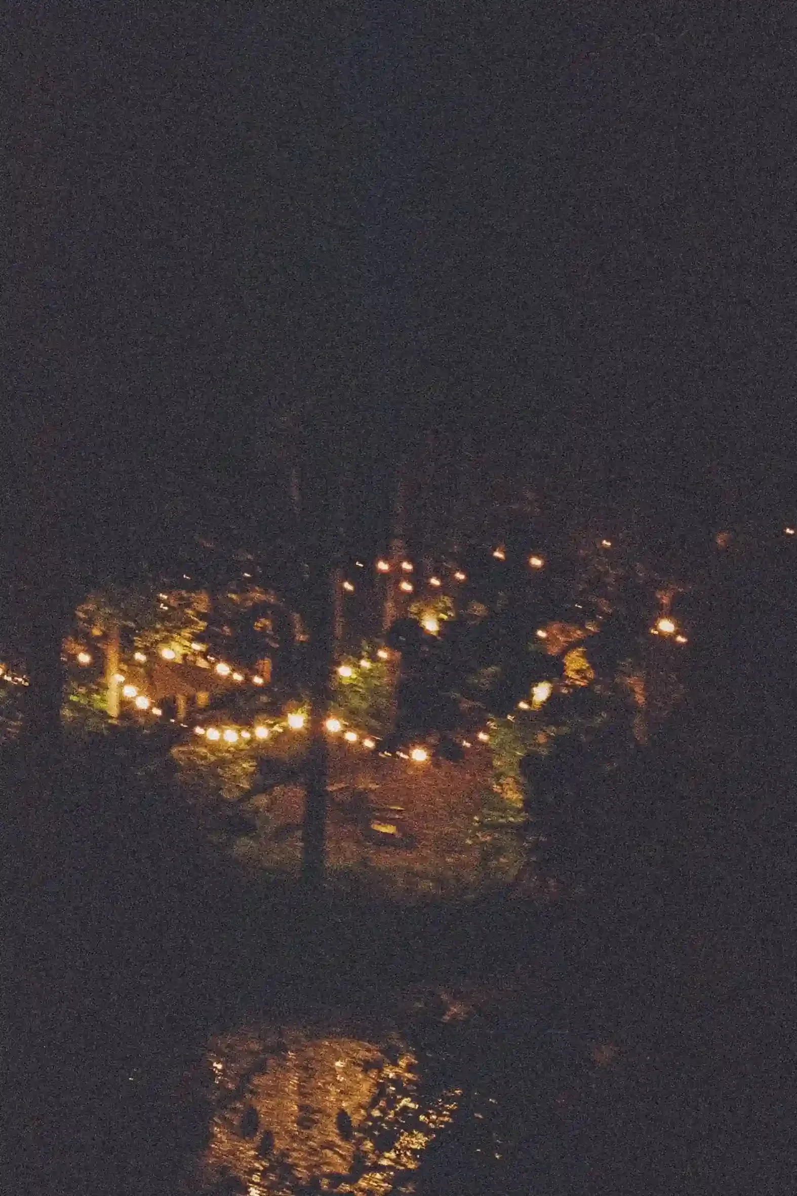 Outdoor area with yellow string lights at night, surrounded by trees and foliage.