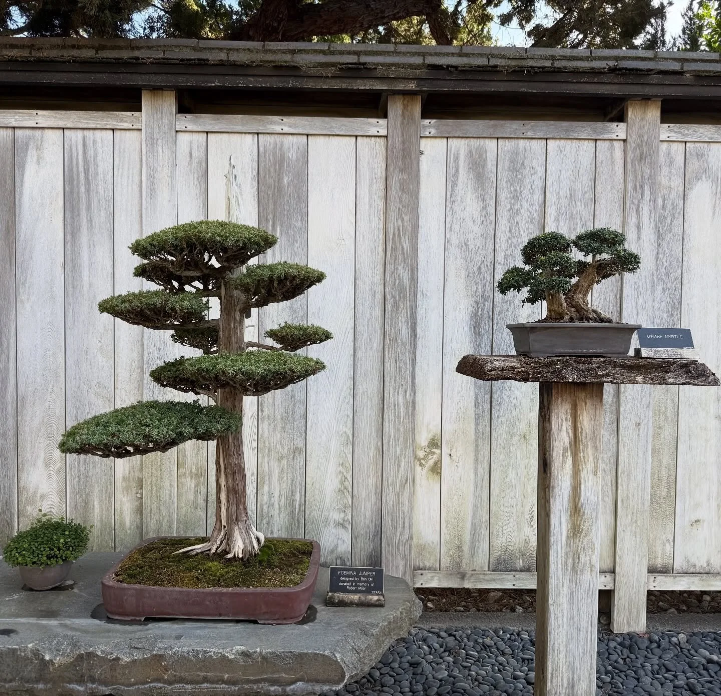 The same picture over and over again? Maybe. 💌