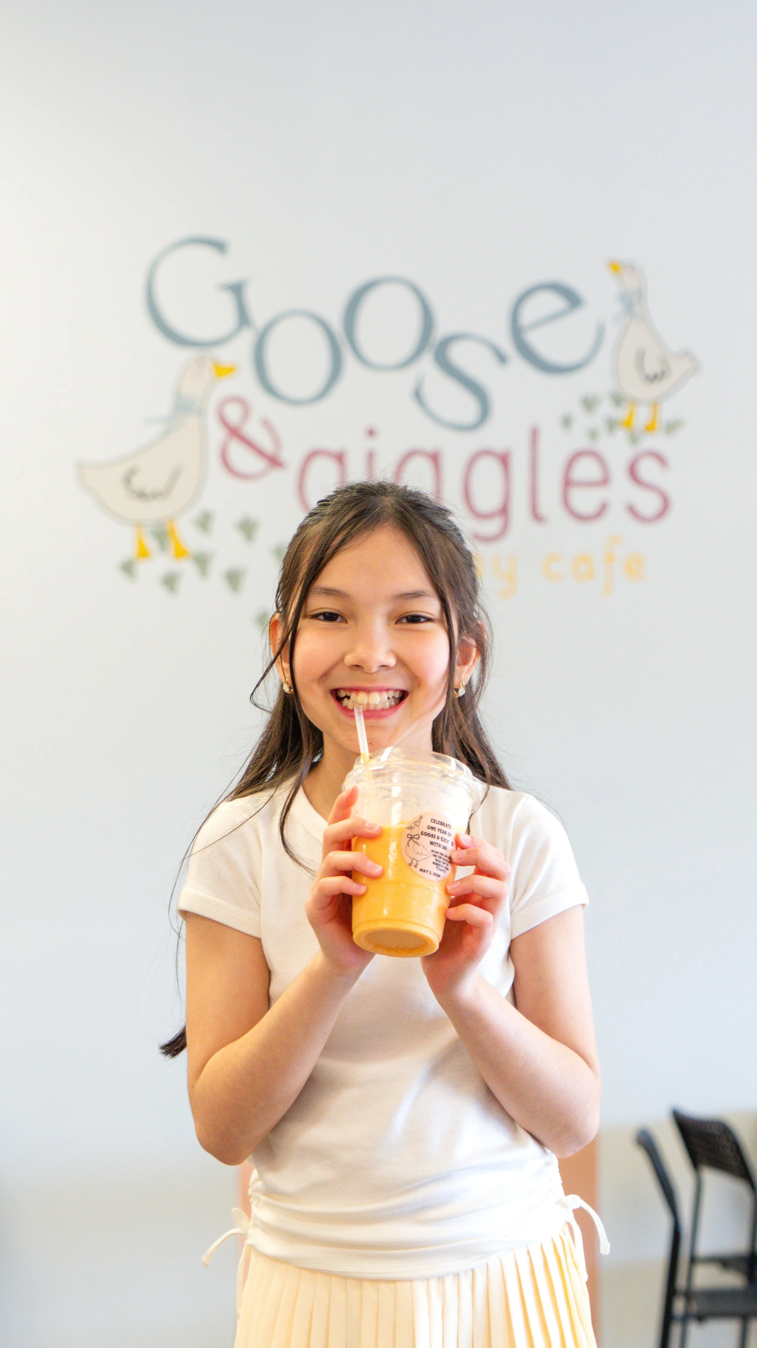 Travel Dubuque / Goose & giggles