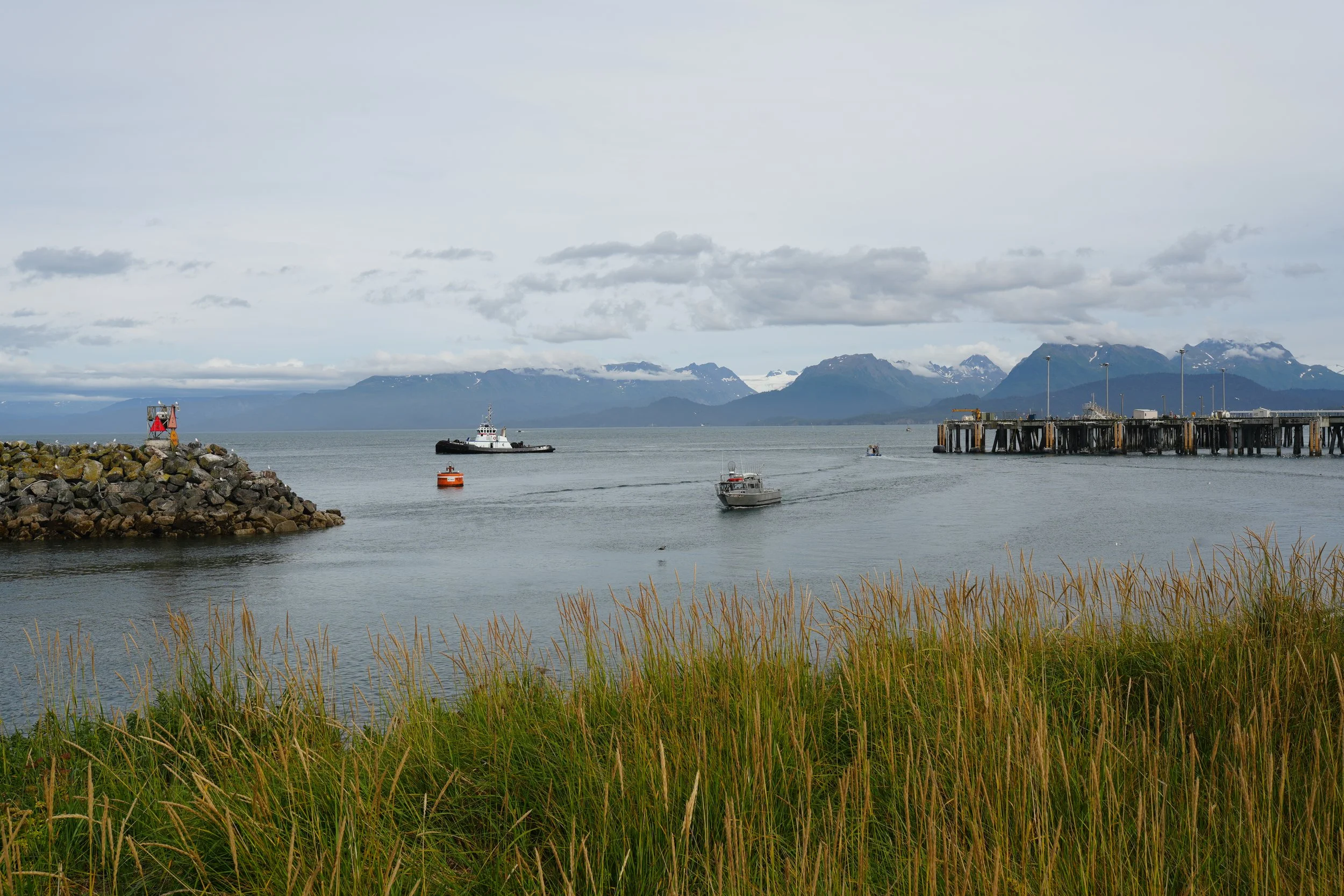 The Honest Guide to Visiting Homer, Alaska for the First Time