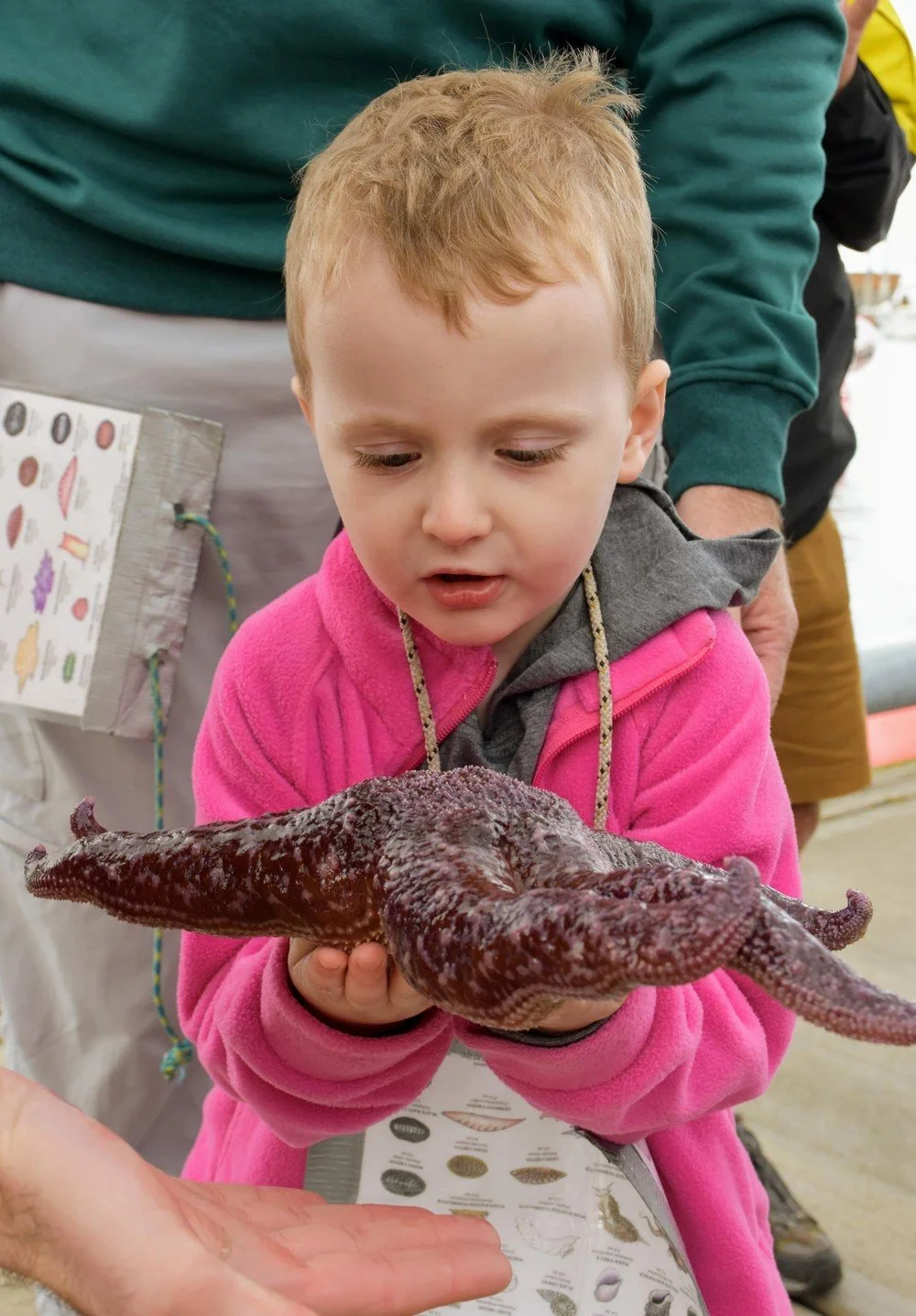 Creatures of the Dock Tour 4.jpeg