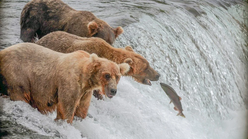 Desination Alaska 2.jpeg