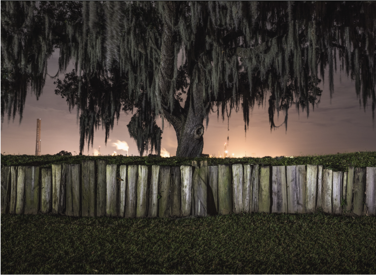 Rhett Pritchard- Moss and Light