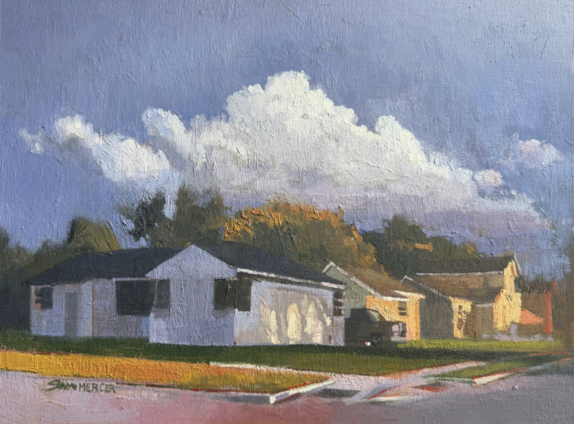 Steve Mercer- Gentilly Skies
