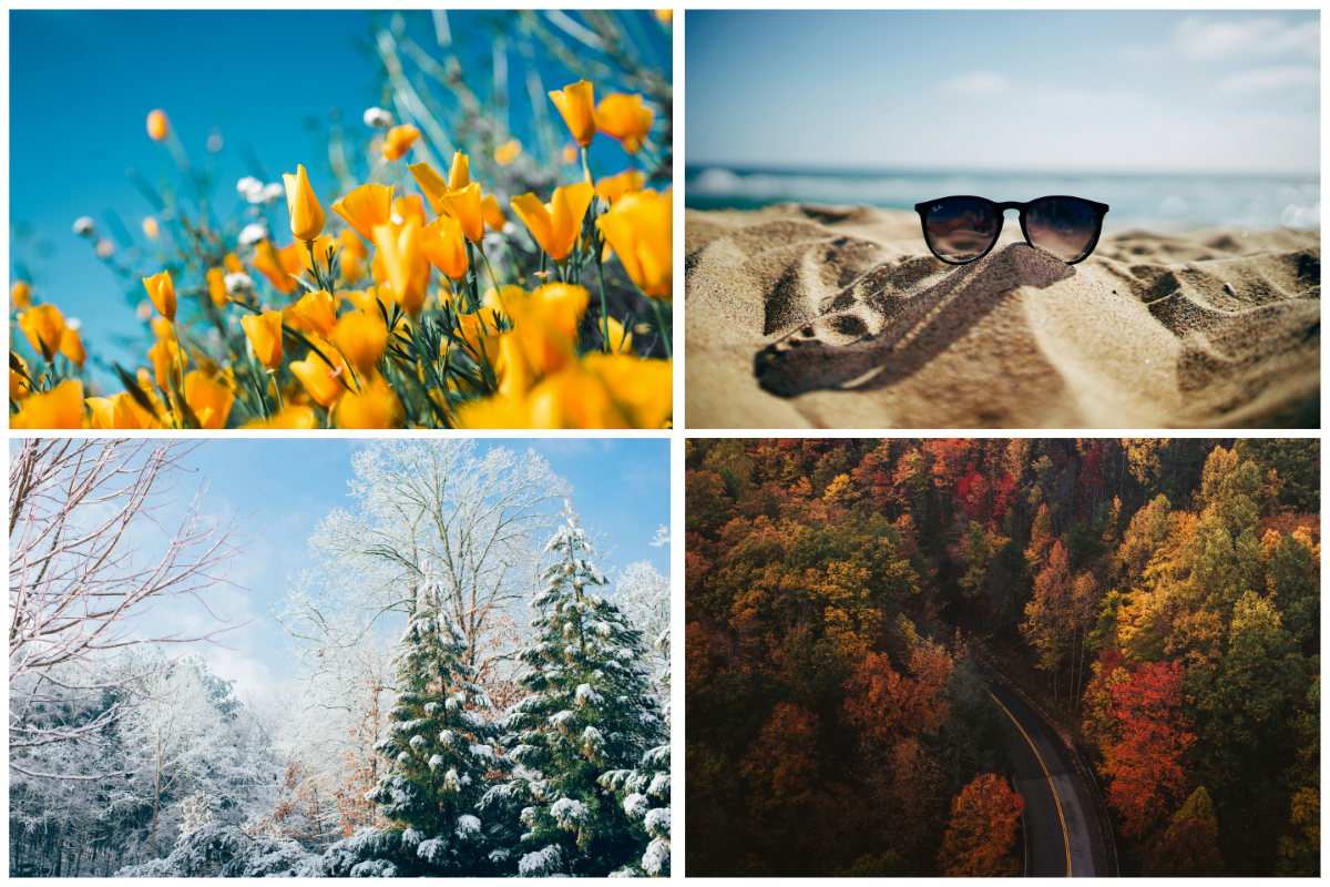 A Season-by-Season Guide to Roof Inspections and Maintenance