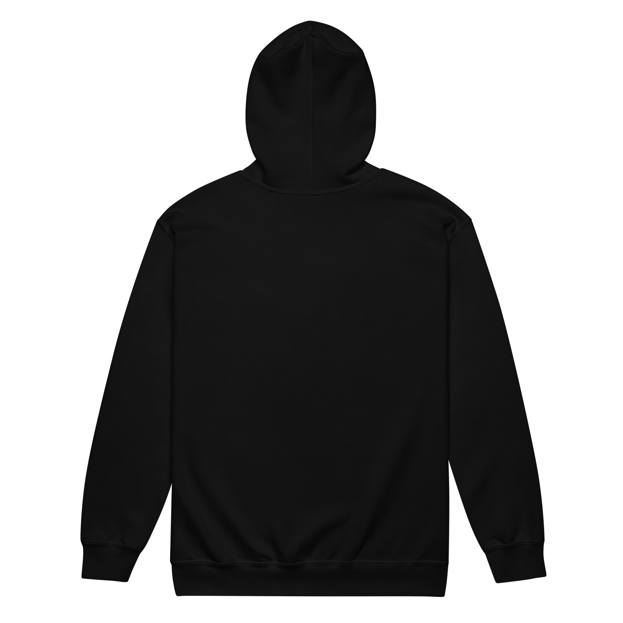 unisex-heavy-blend-zip-hoodie-black-back-6ab4ab3727699.png