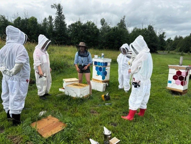 2025 - Teaching at the hives.jpg