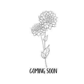 COMING SOON.png