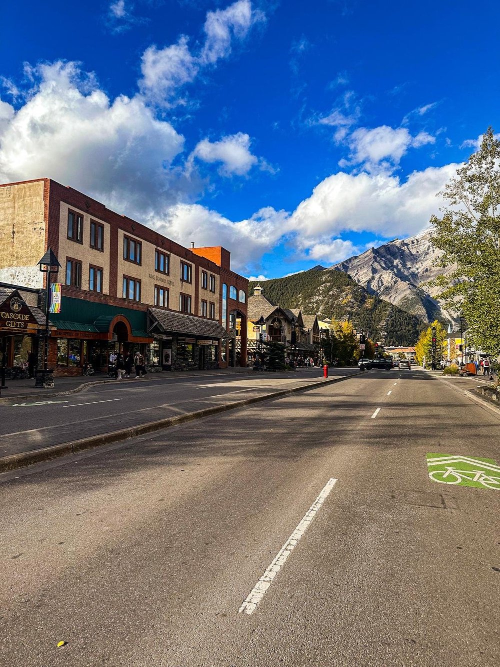 WhatsApp Image 2025-02-04 at 08.07.43.jpeg