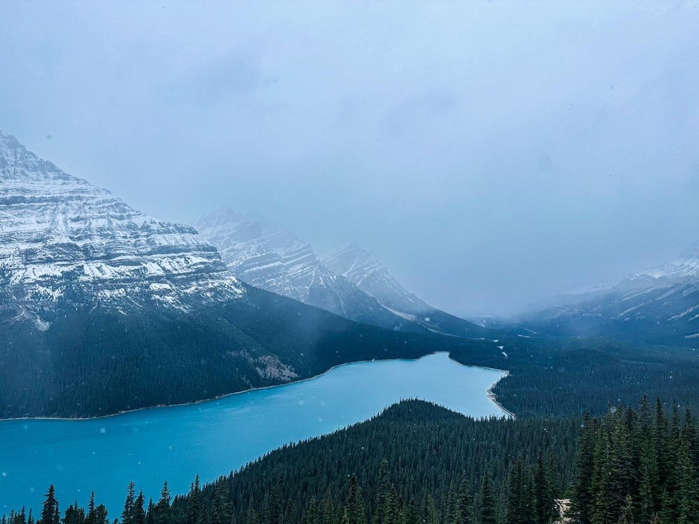 WhatsApp Image 2025-02-04 at 08.08.24.jpeg