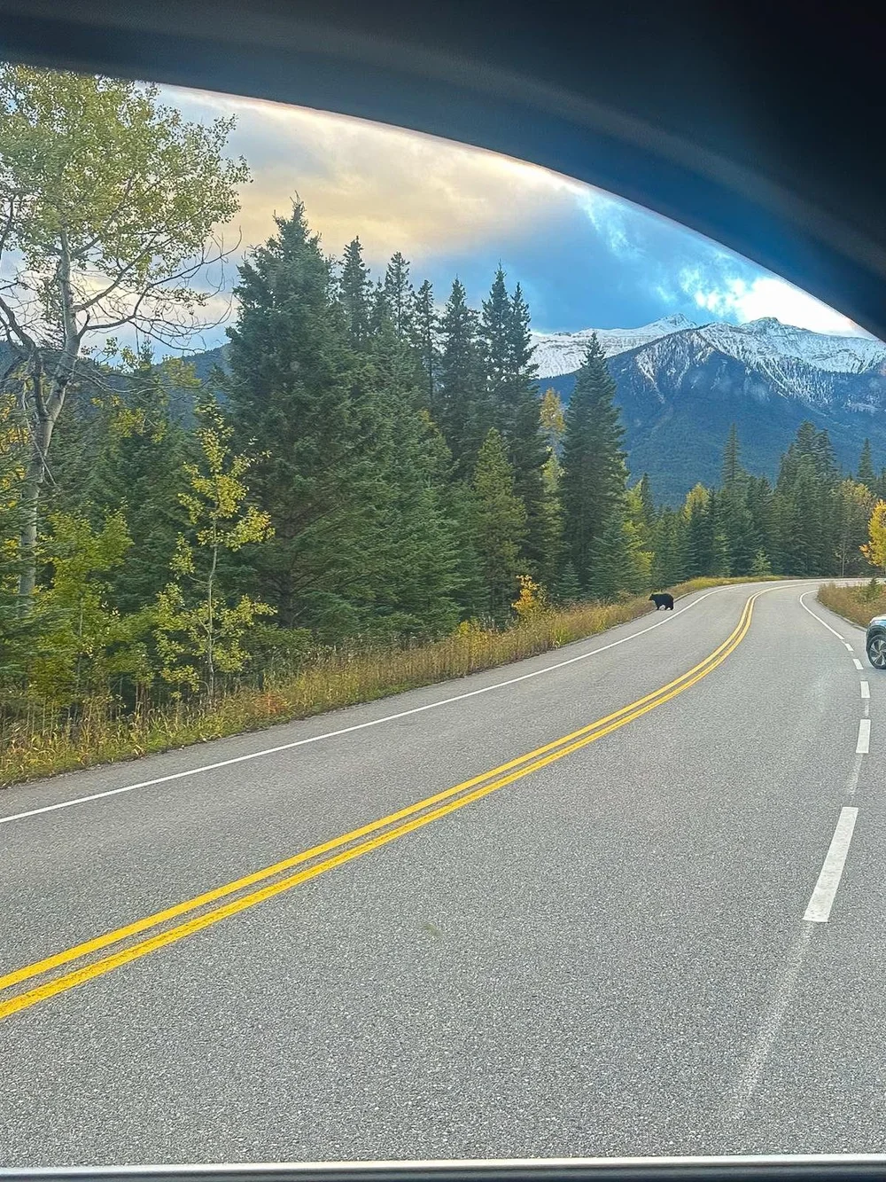 WhatsApp Image 2025-02-04 at 08.05.11.jpeg