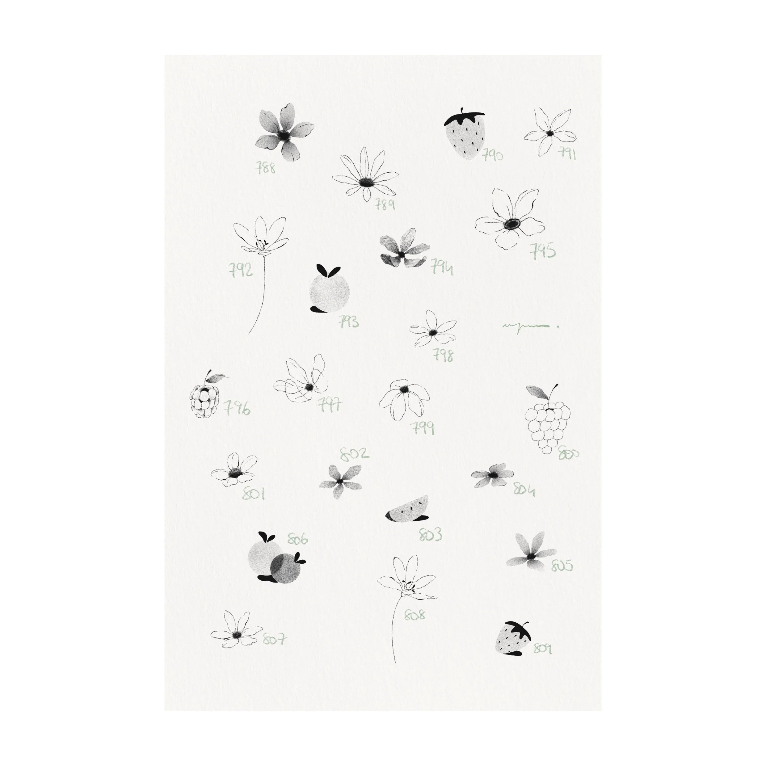 788_-_809.jpg