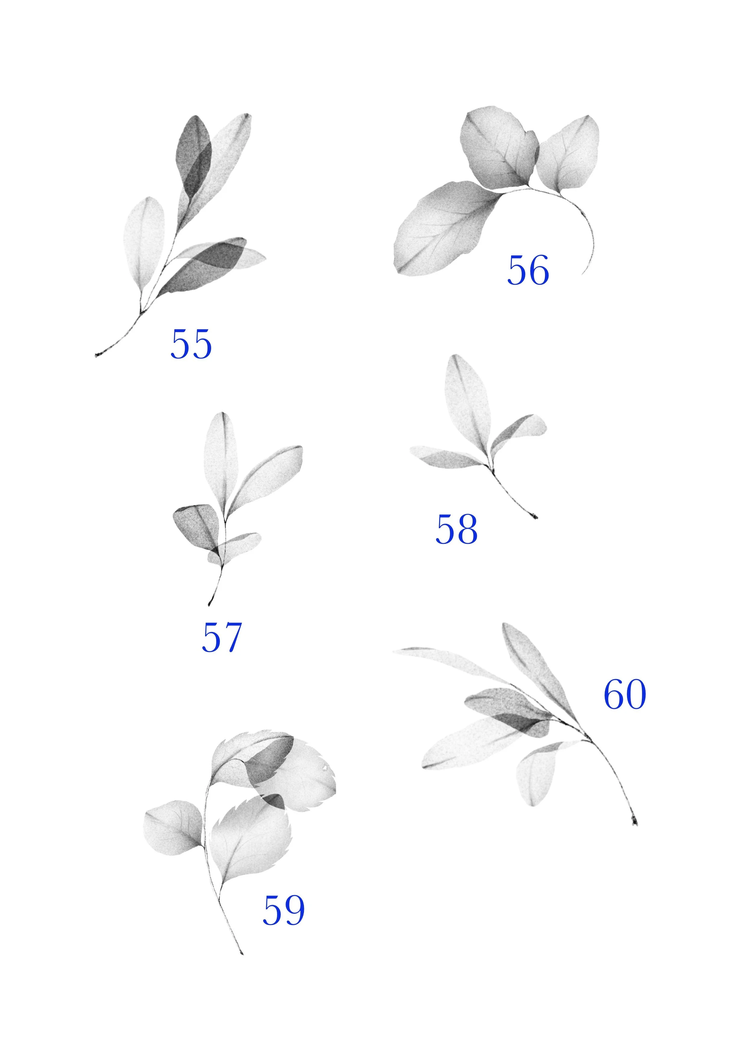 55_60.jpg