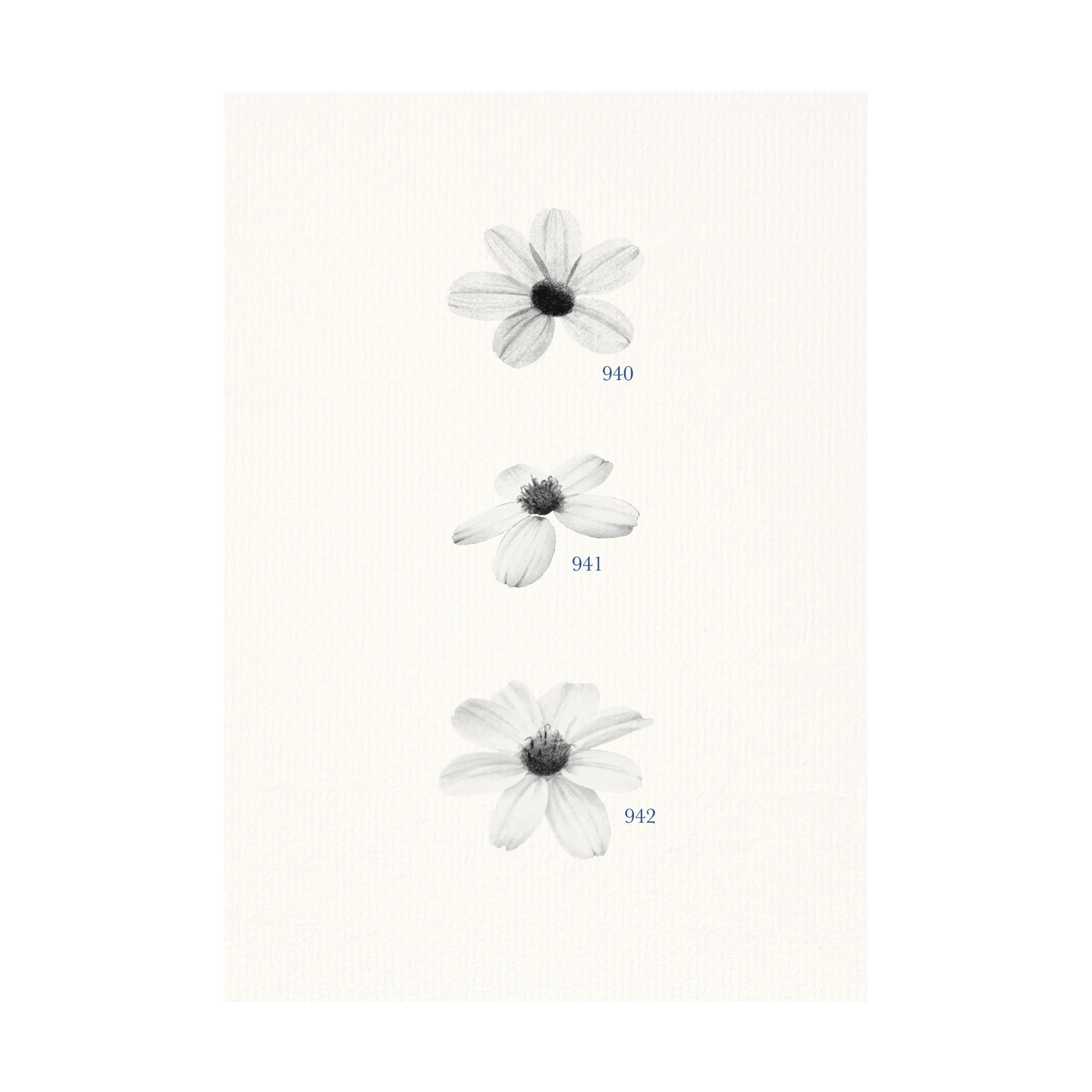 Illustration_sans_titre 14.jpg