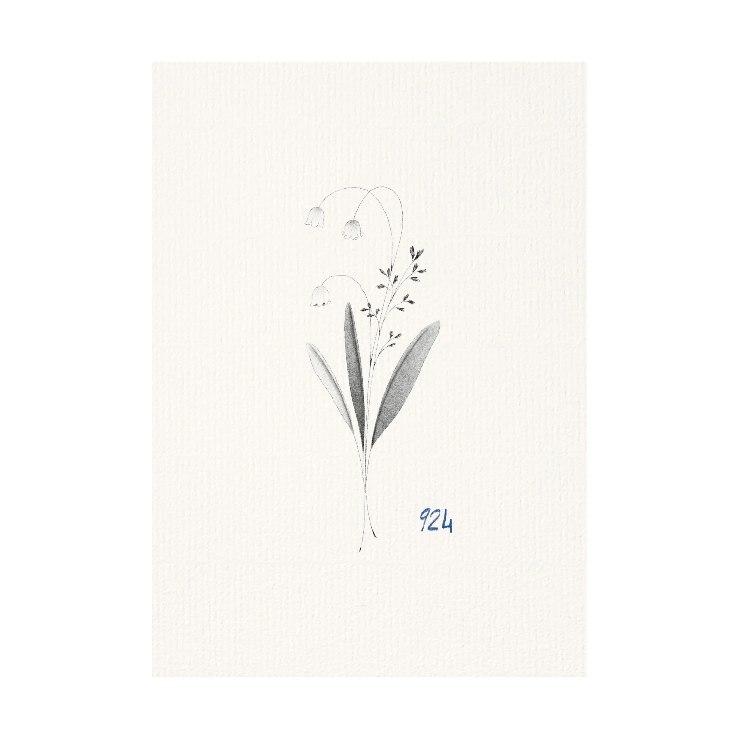 Illustration_sans_titre 7.jpg